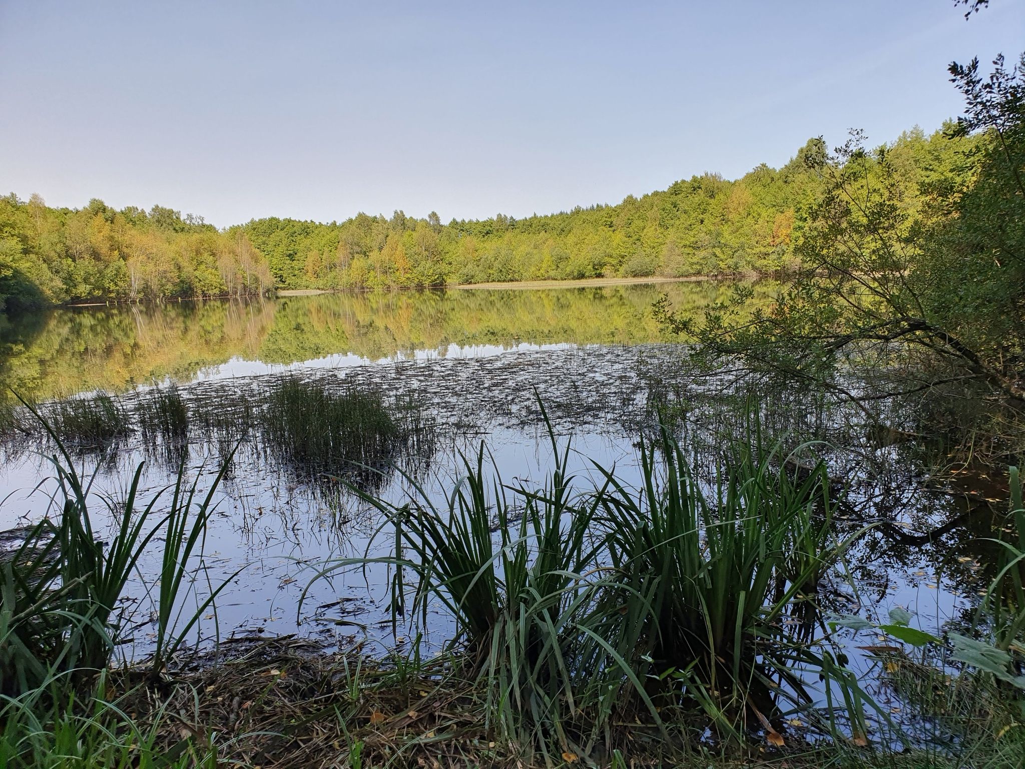 Etang de la Passee