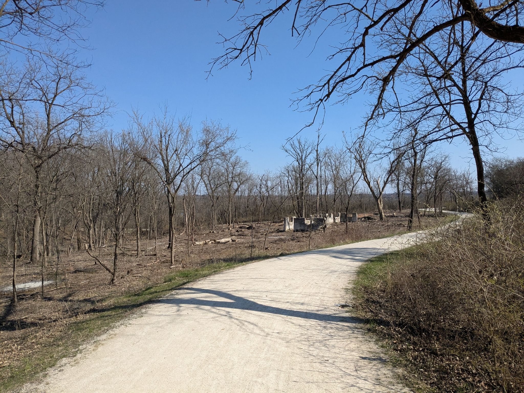 Winding dirt path through a bare winter forest under a clear blue sky. - Waterfall Glen Main Trail
