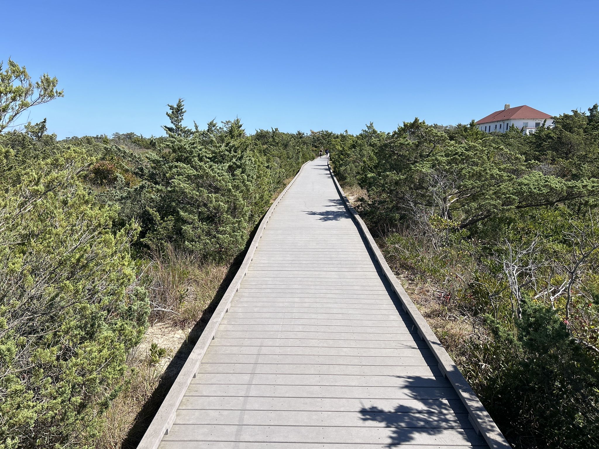 Long wooden boardwalk through green coastal shrubs under a clear blue sky. - Fire Island Lighthouse Trail