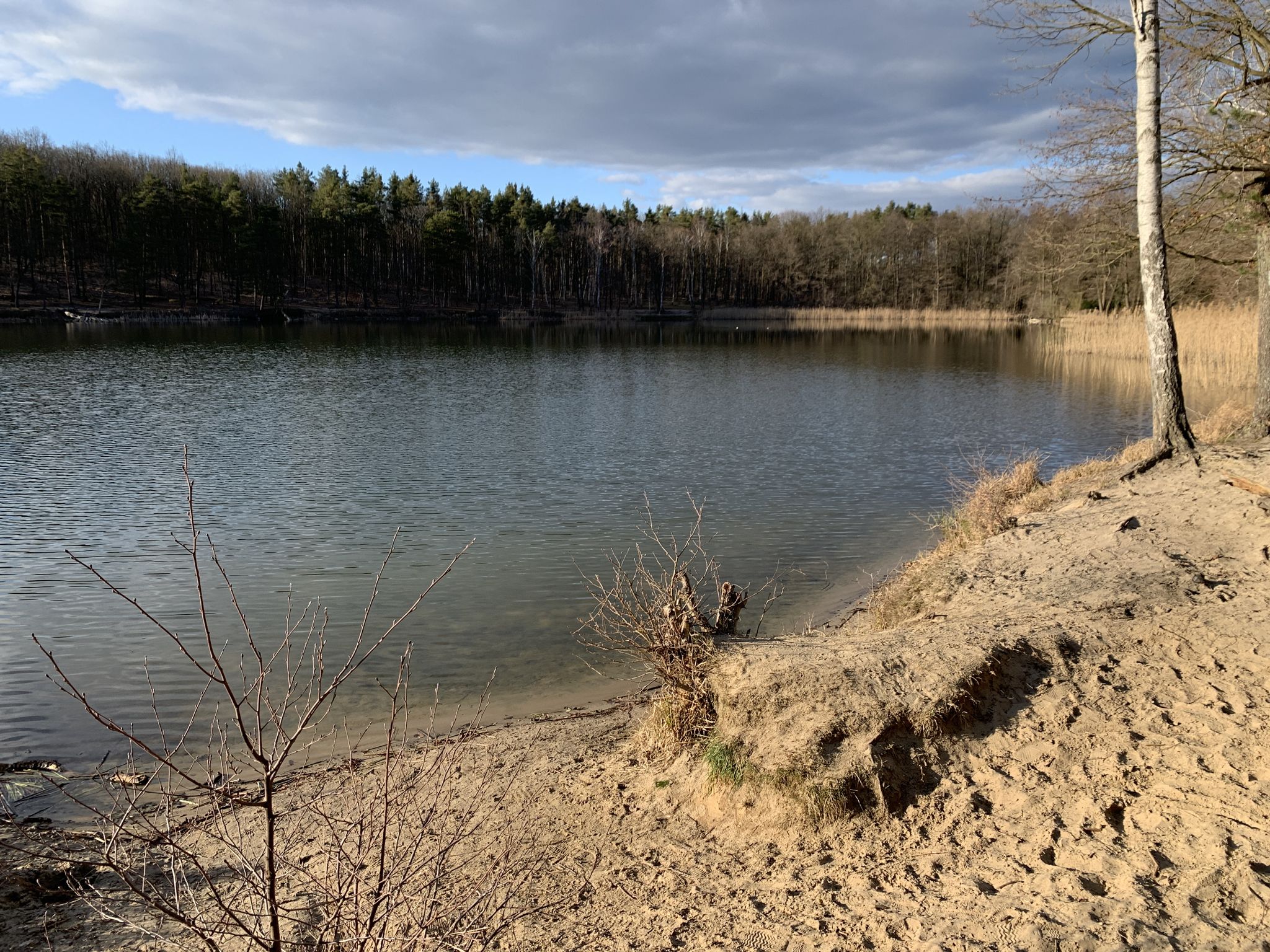 Badestelle am Kleinen Lienewitzsee