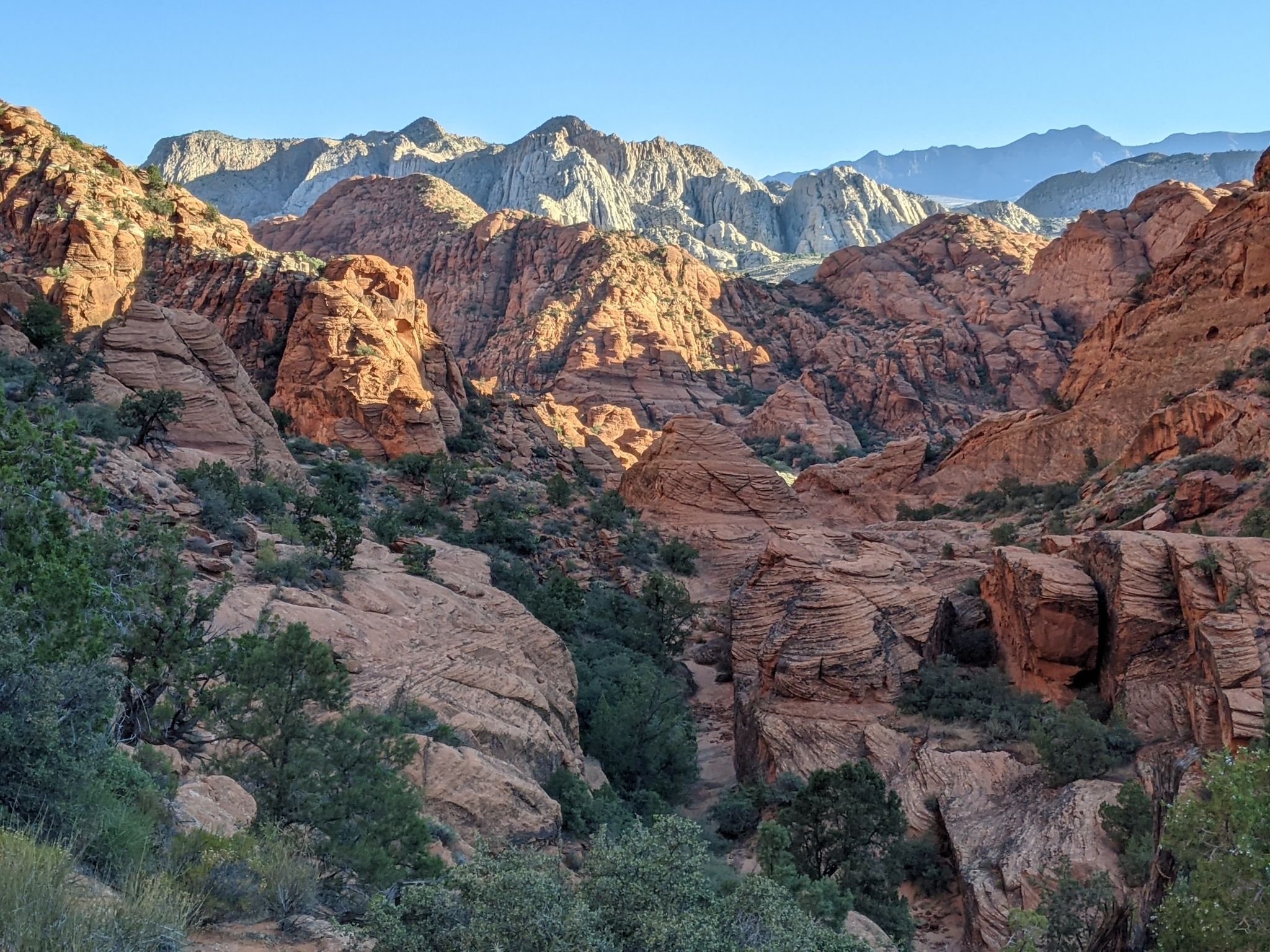 Panoramic view of sunlit red rock canyons and distant mountains under blue sky. - Padre Canyon Trail