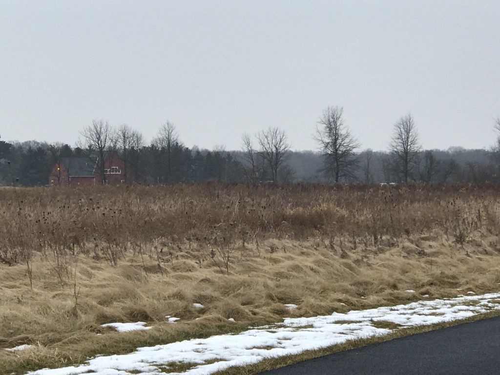 Overcast view of a field with dry grass and patches of snow. - Obstacle Course loop from Glacier Ridge Metro Park