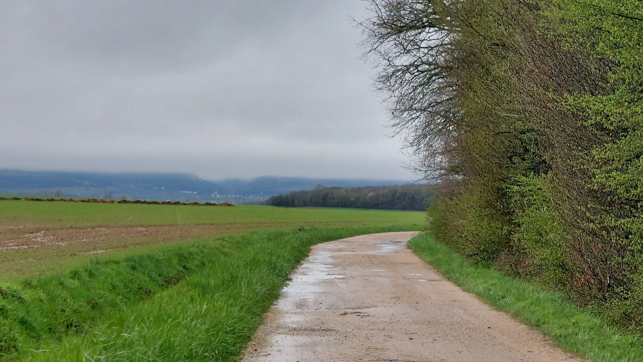 Weinberge in Sicht