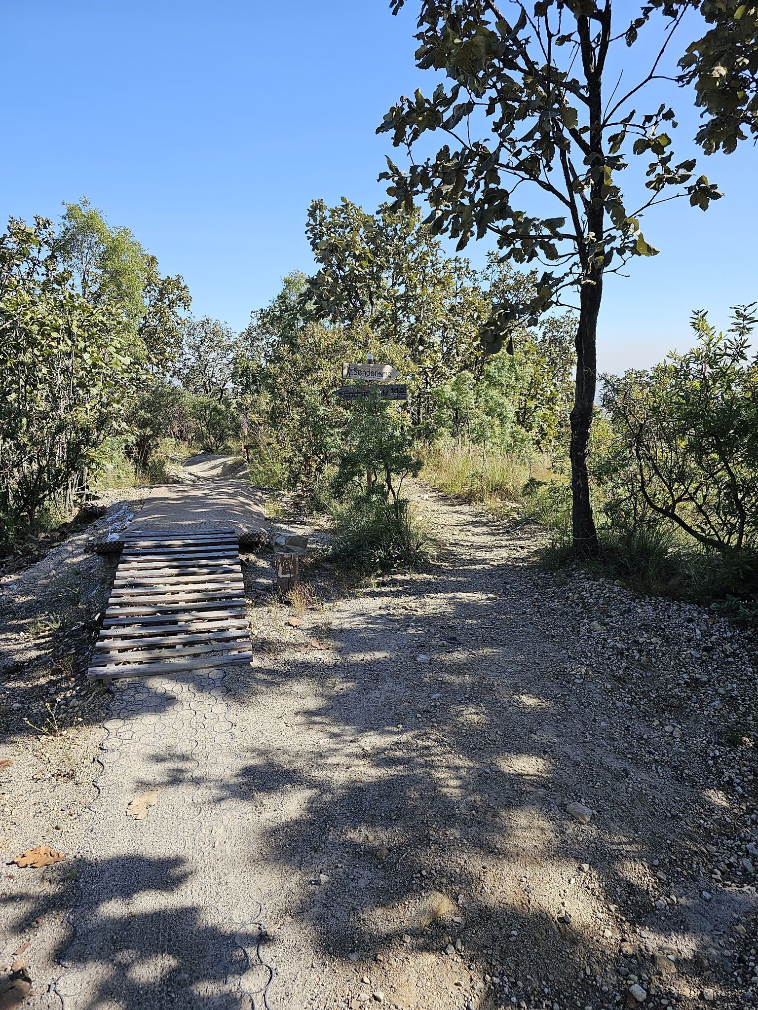 cruce de rutas