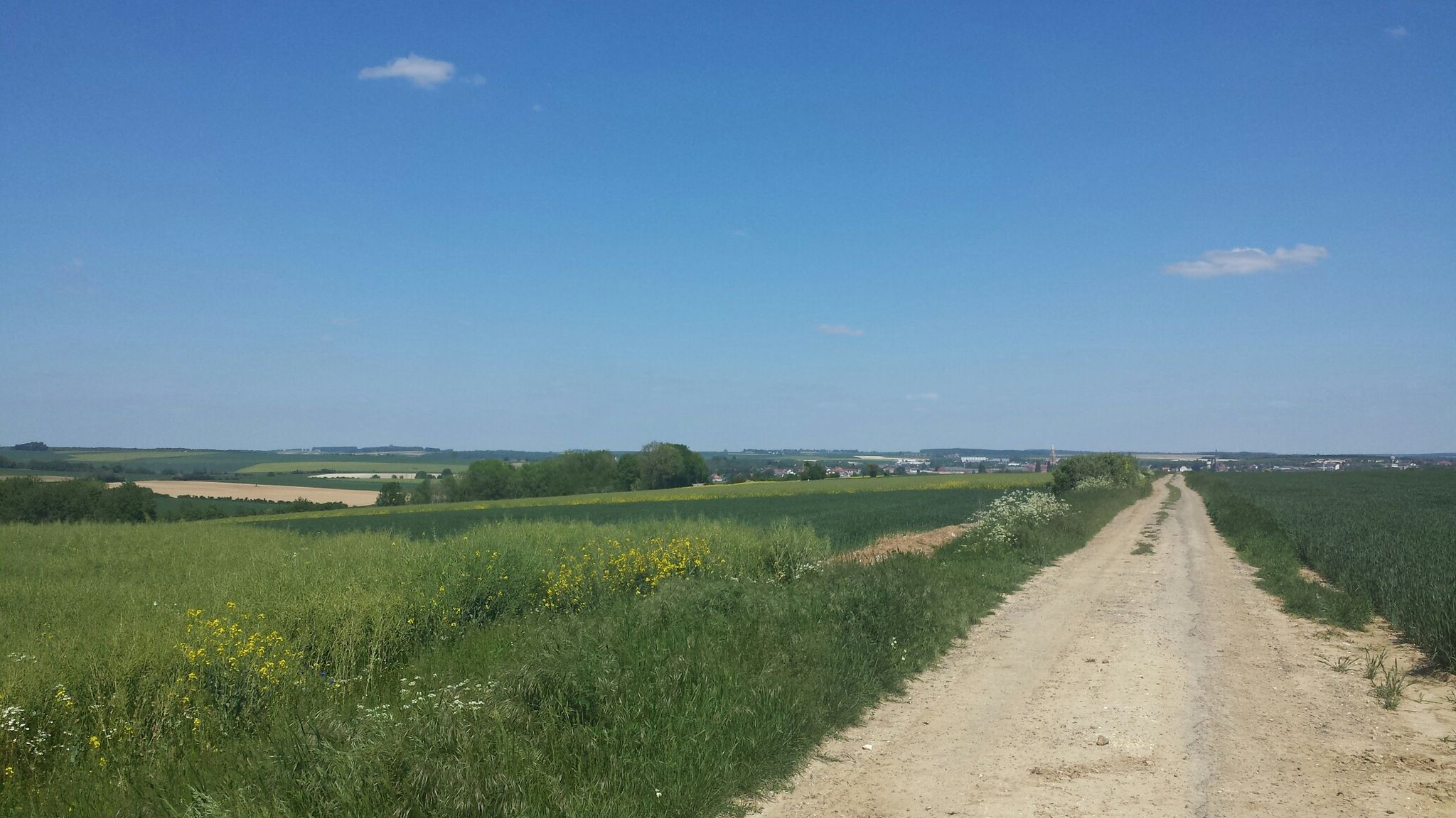 campagne albert