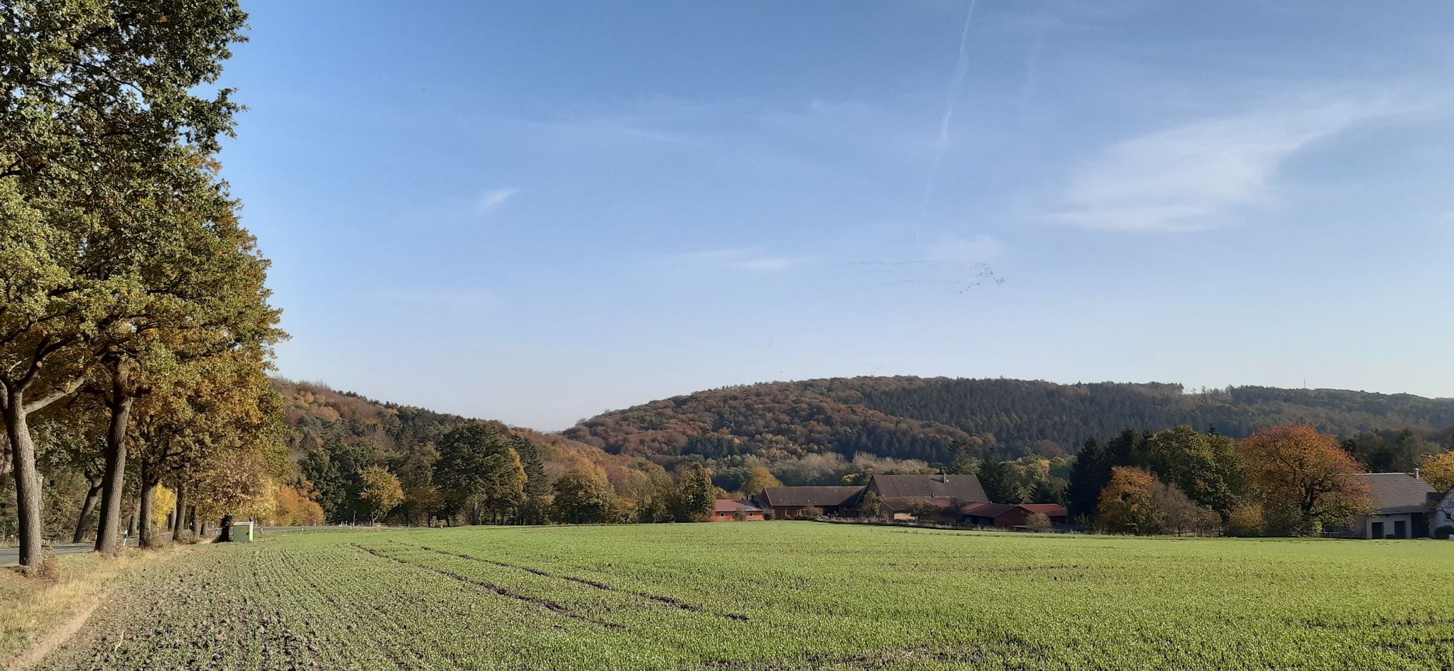 herrlich im Herbst