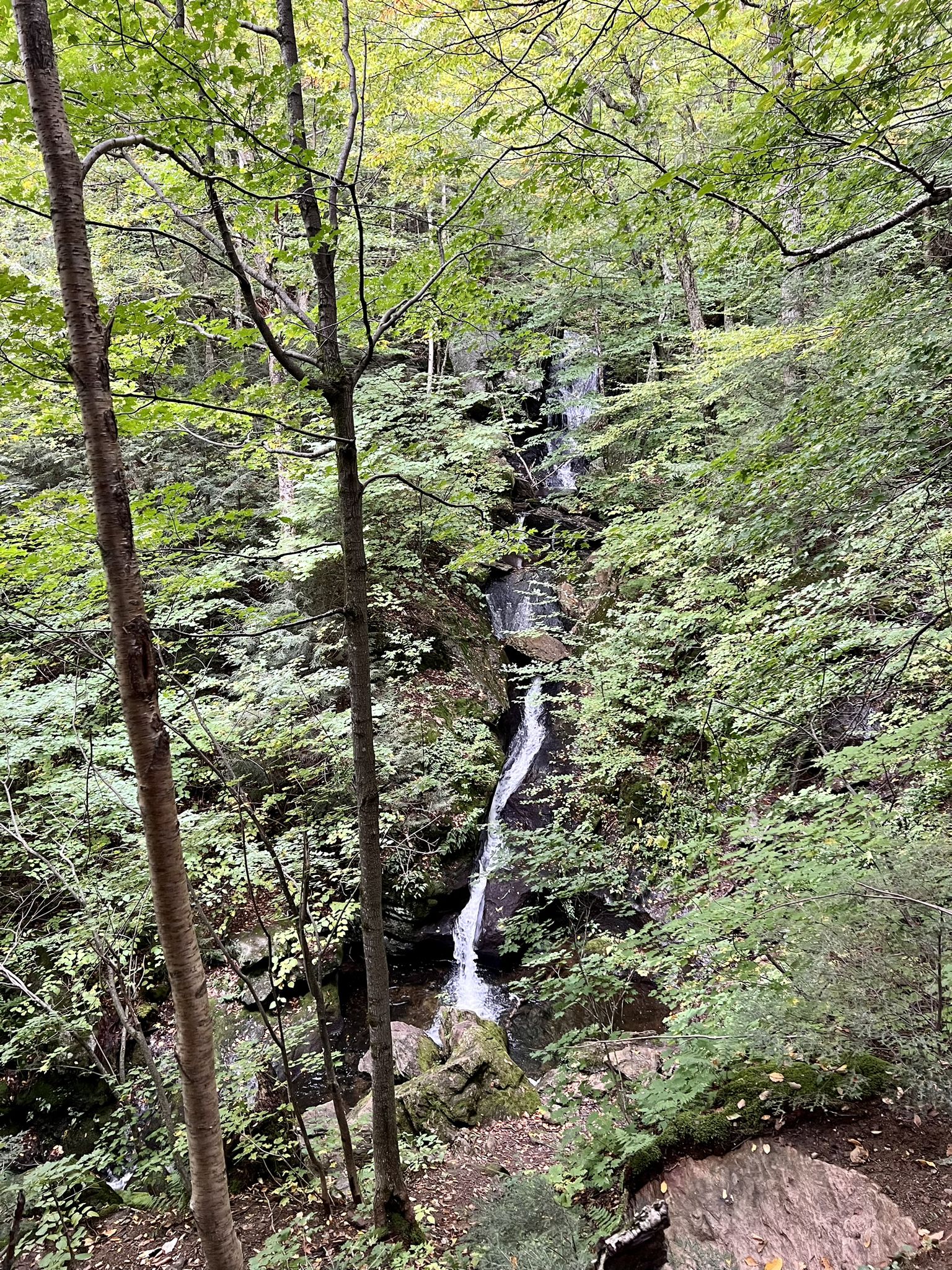 A tall, multi-tiered waterfall cascades down a lush green forest hillside. - Nebraska Notch via Lake Mansfield Trail