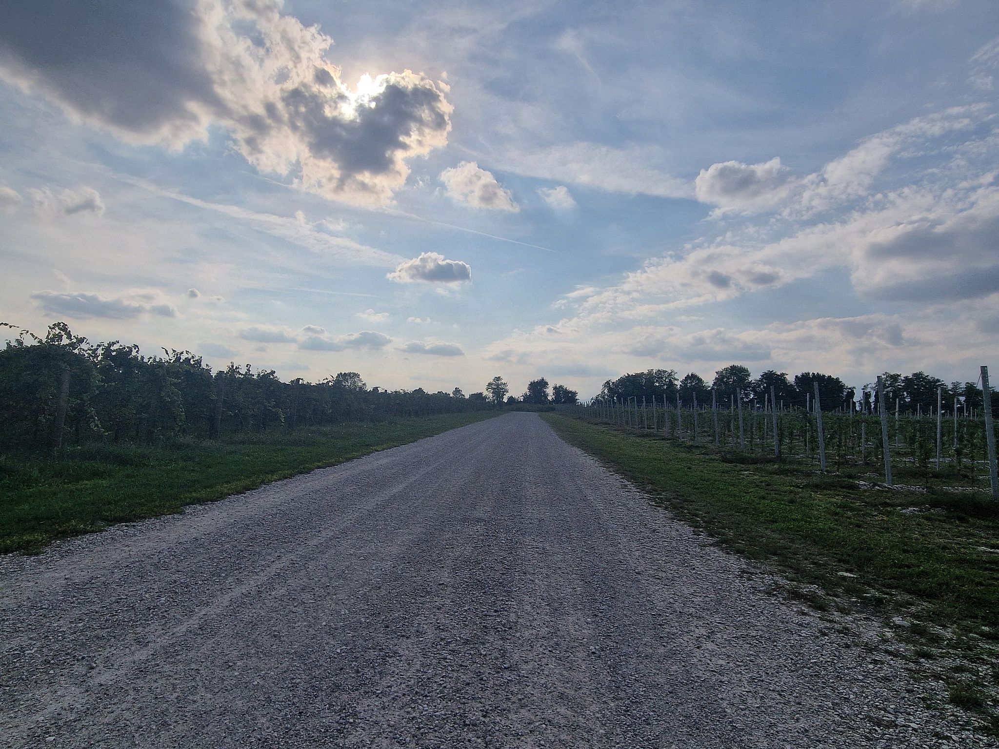 Wegstrecke von Murlis nach Barbeano