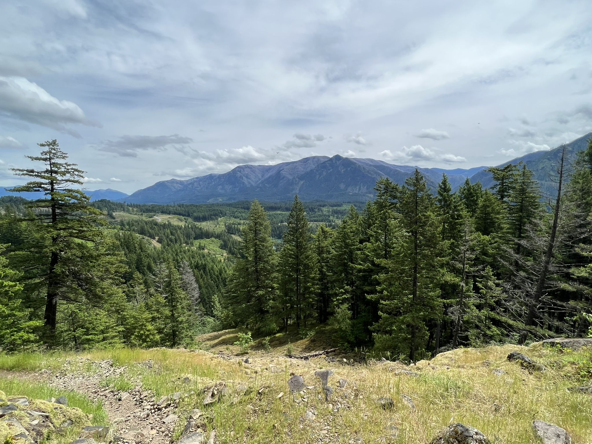 Expansive view of a forested valley with distant mountains under a cloudy sky. - Table Mountain Loop via Pacific Crest Trail