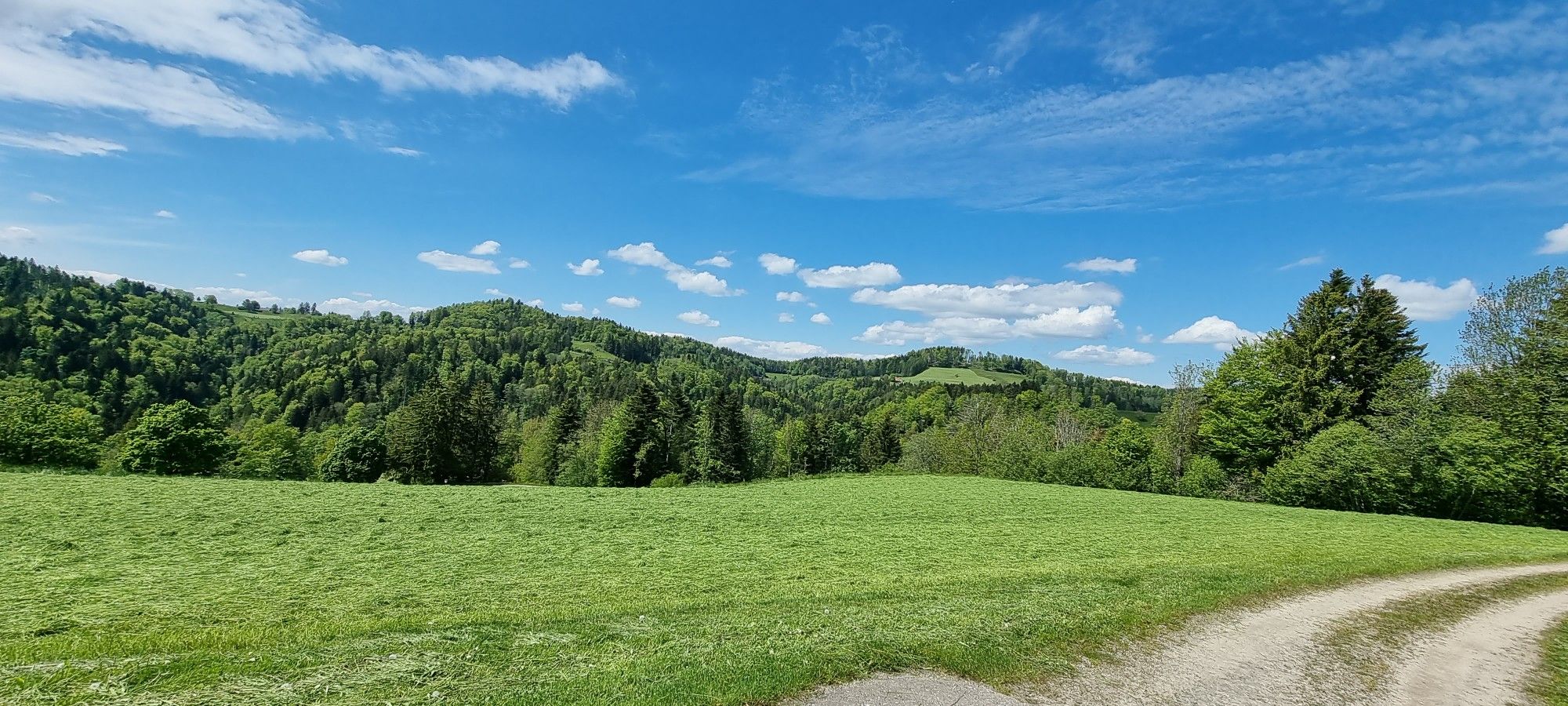 zwischen Arsch und Welt