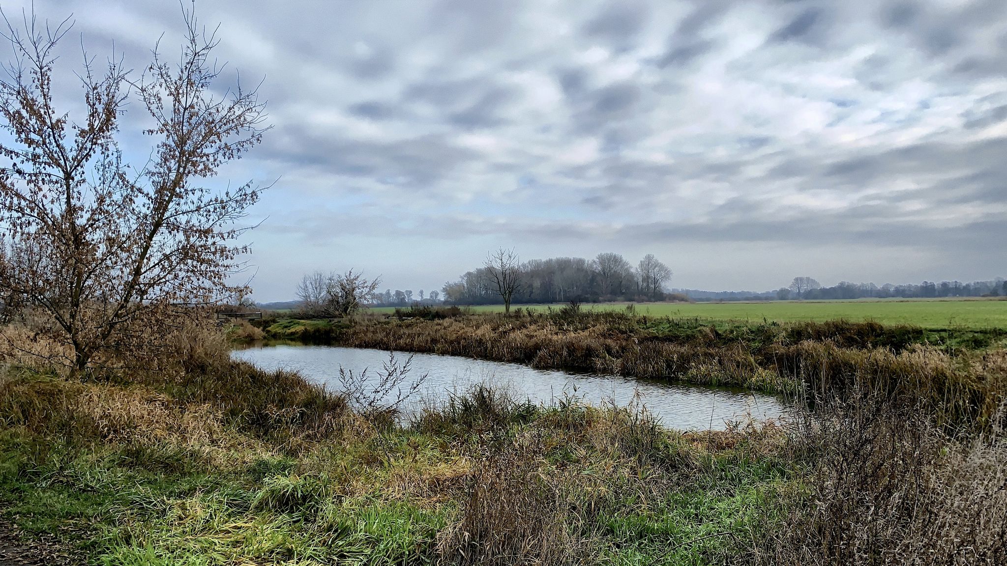 am Königsgraben