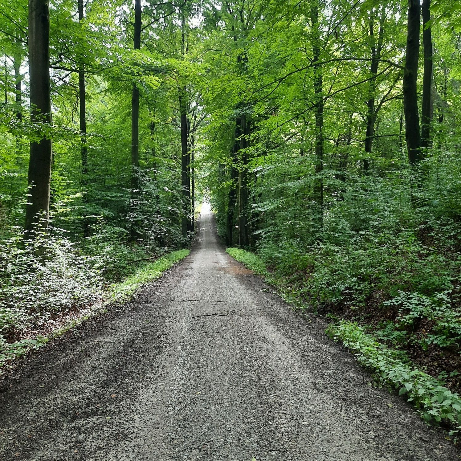 Steigung ? ungewiss