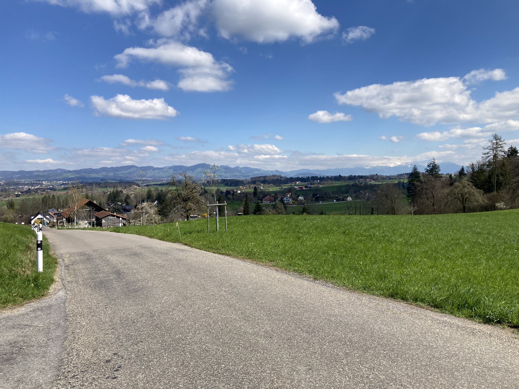 Blick zurück (Bachtel)