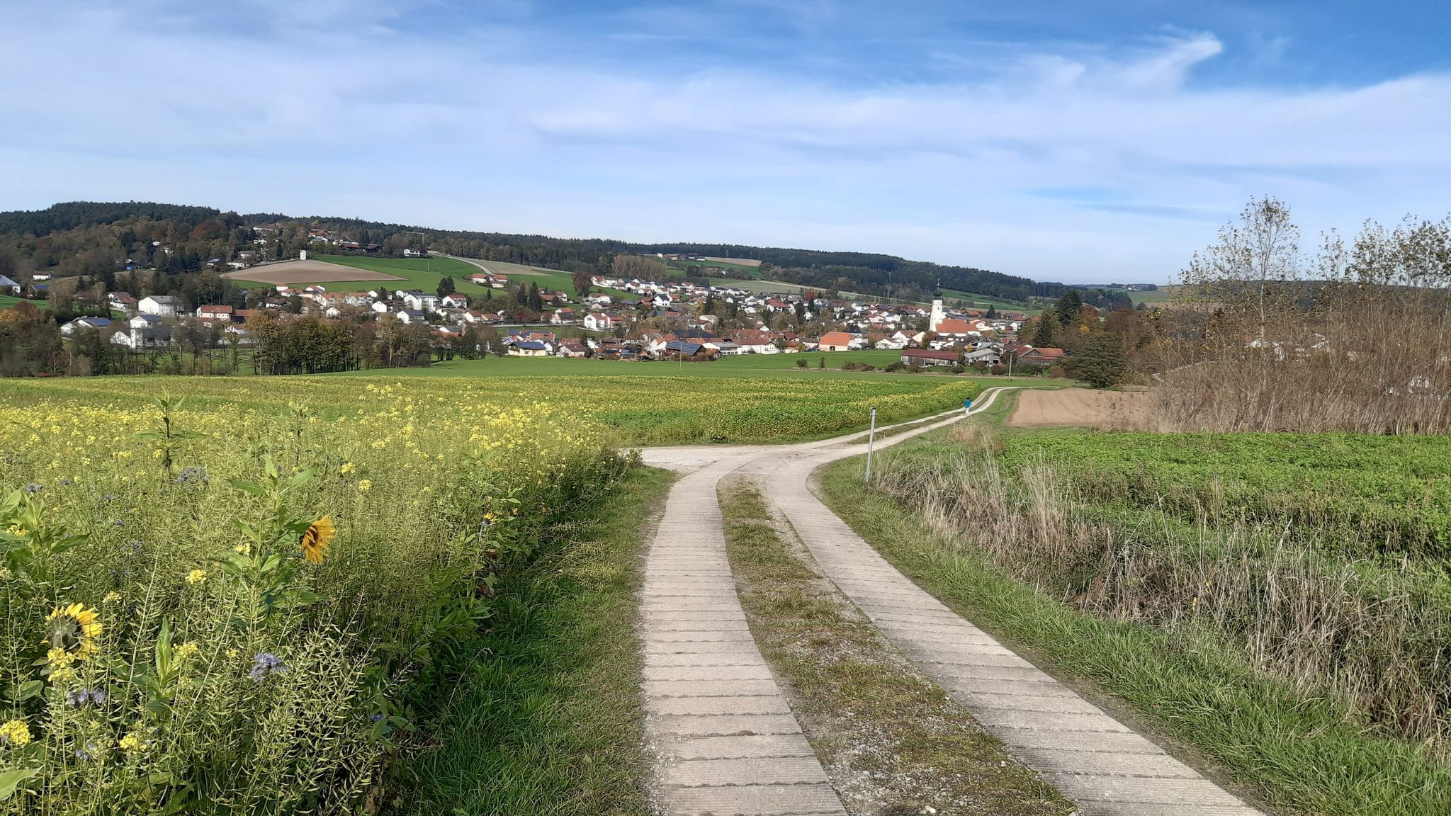 Schöne Sicht runter nach Triftern 👍