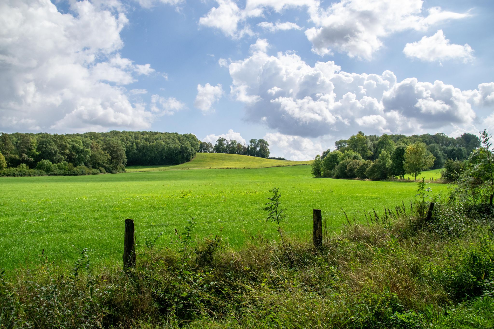 Vorbergs Hügel Nienberge