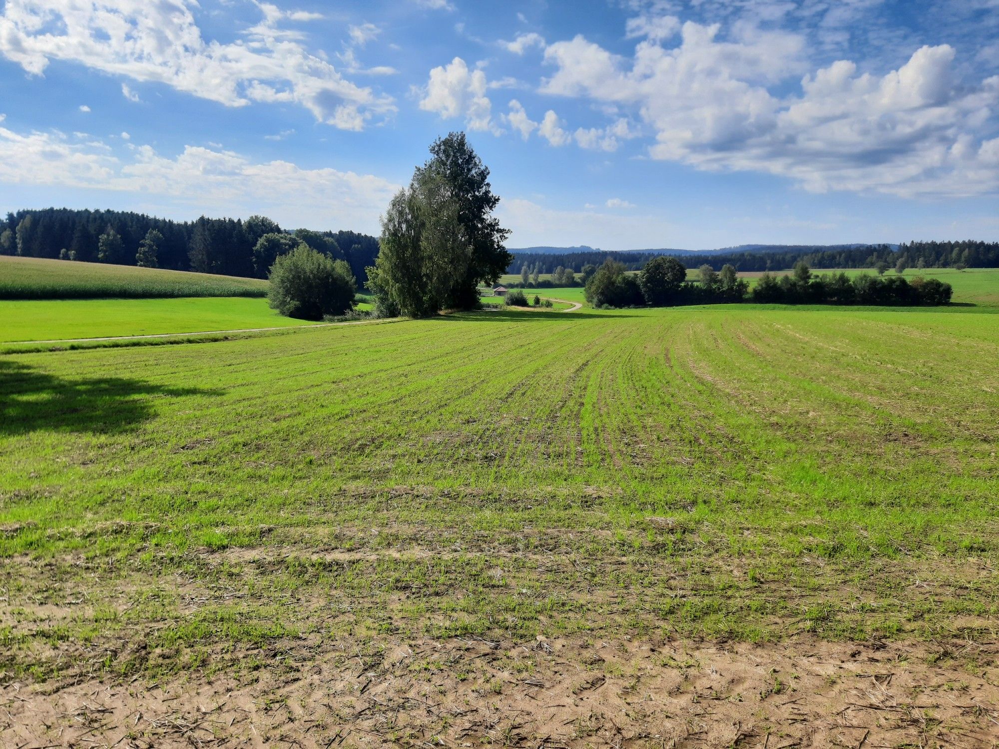 Harmlos? Auch wieder 6% Steigung! 