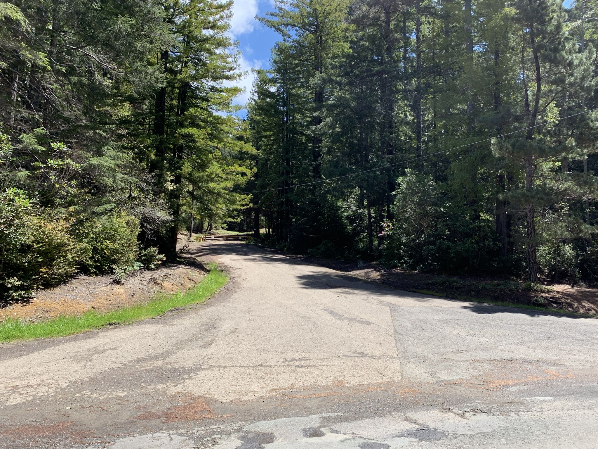Fork in a paved road surrounded by tall green trees under a bright sky. - Mendocino Woodlands State Park – Motorcycle Trail loop from Cal Fire Woodlands Fire Station