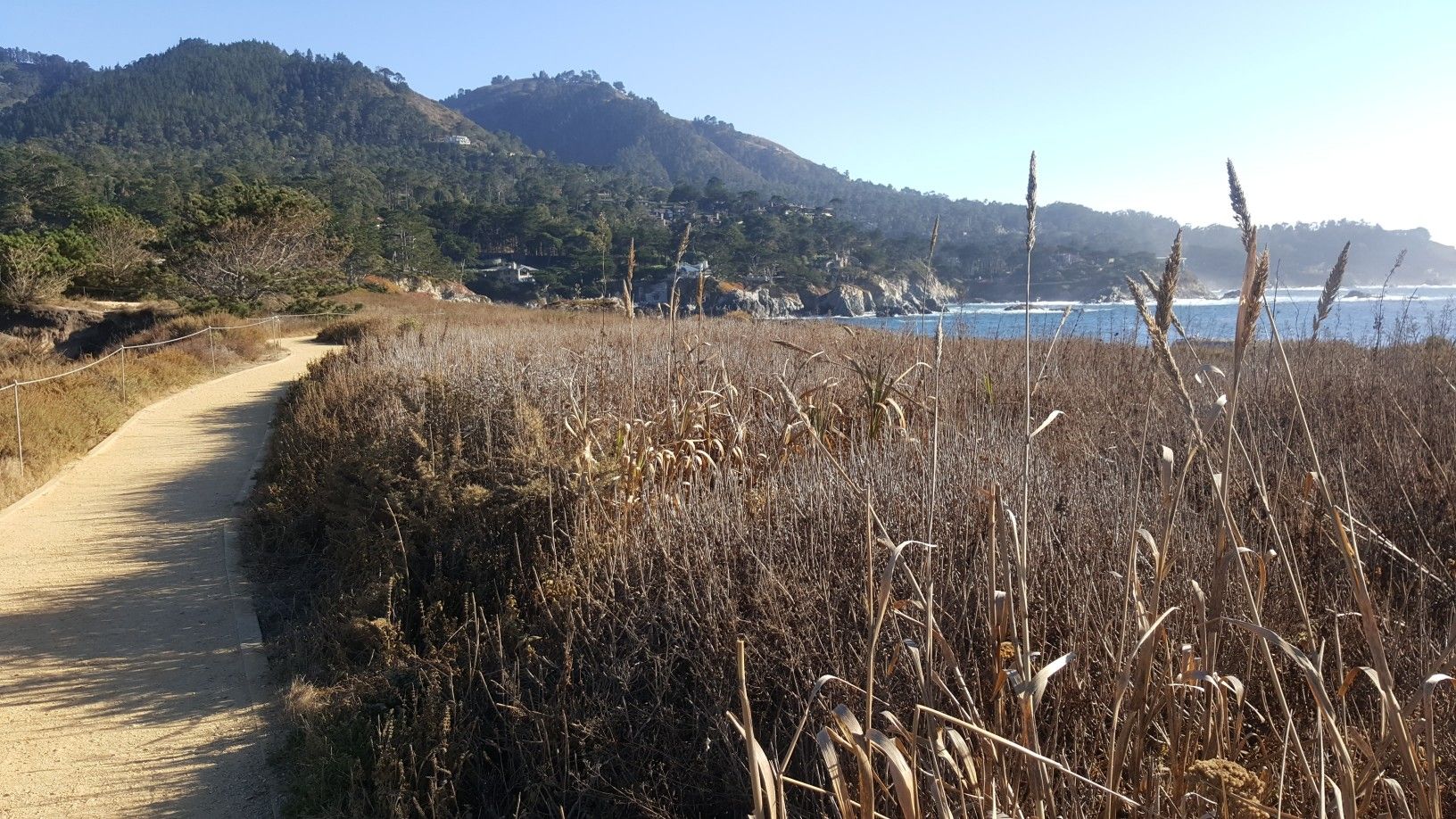 Sunny coastal path next to dry grass, ocean, and distant green mountains. - China Cove Loop