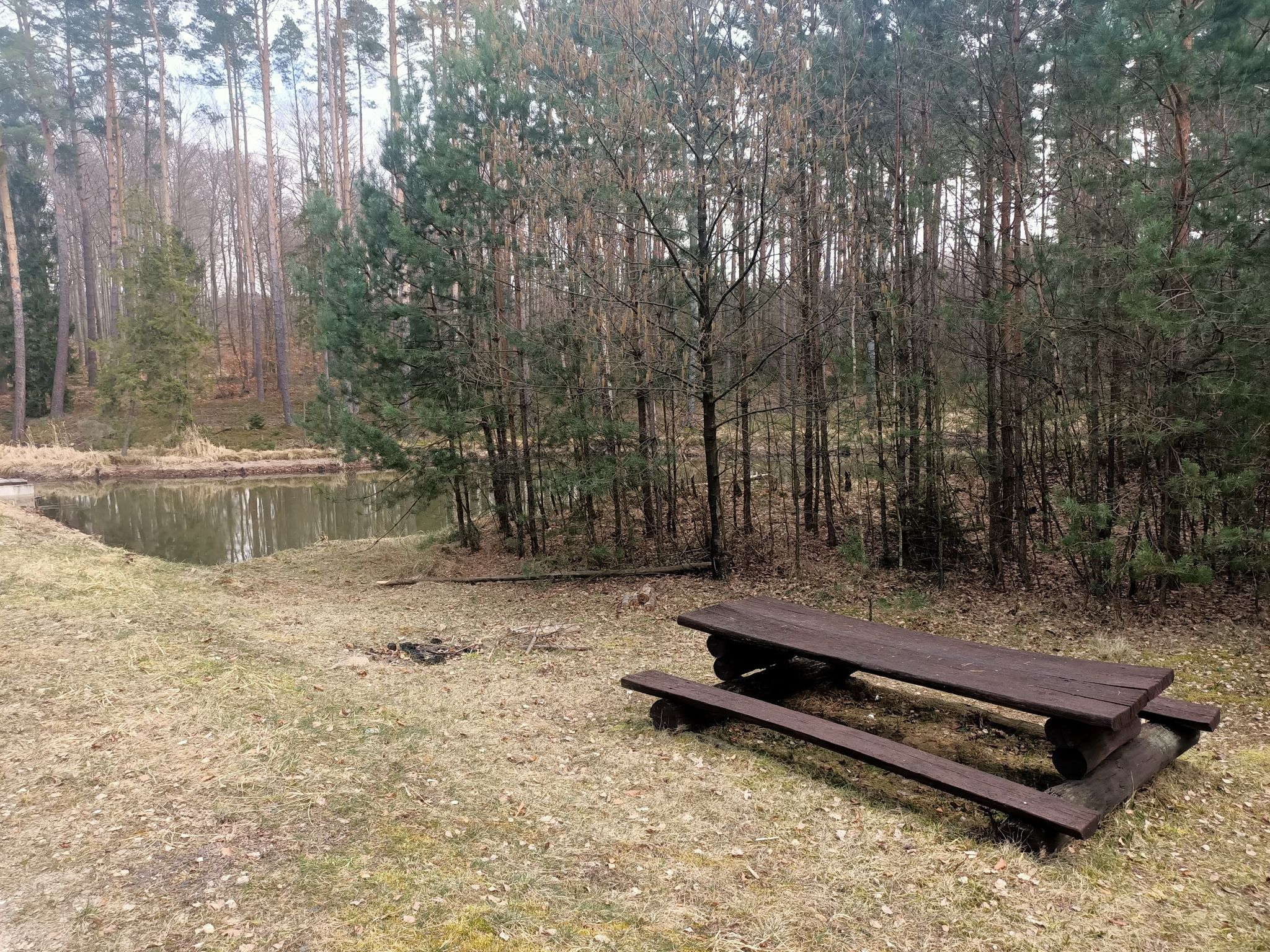 parking leśny przy stawie