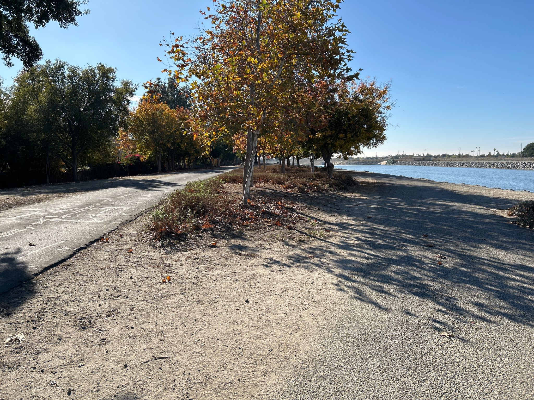 Paved road next to a body of water, with trees showing autumn colors. - Santa Ana River Trail