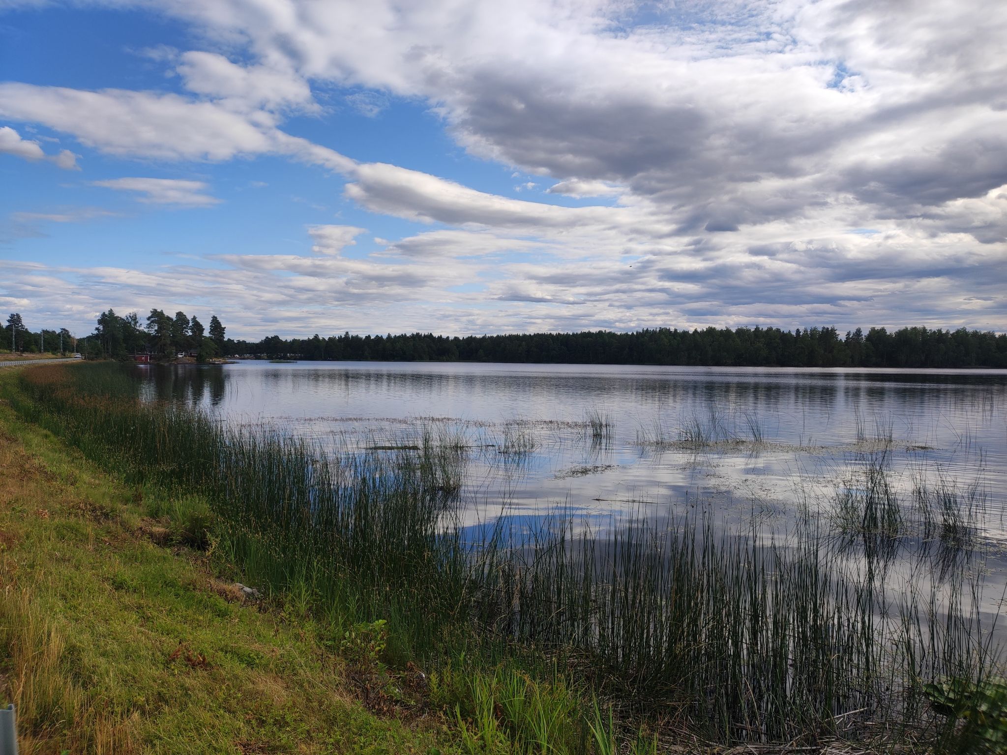 Silvköparen