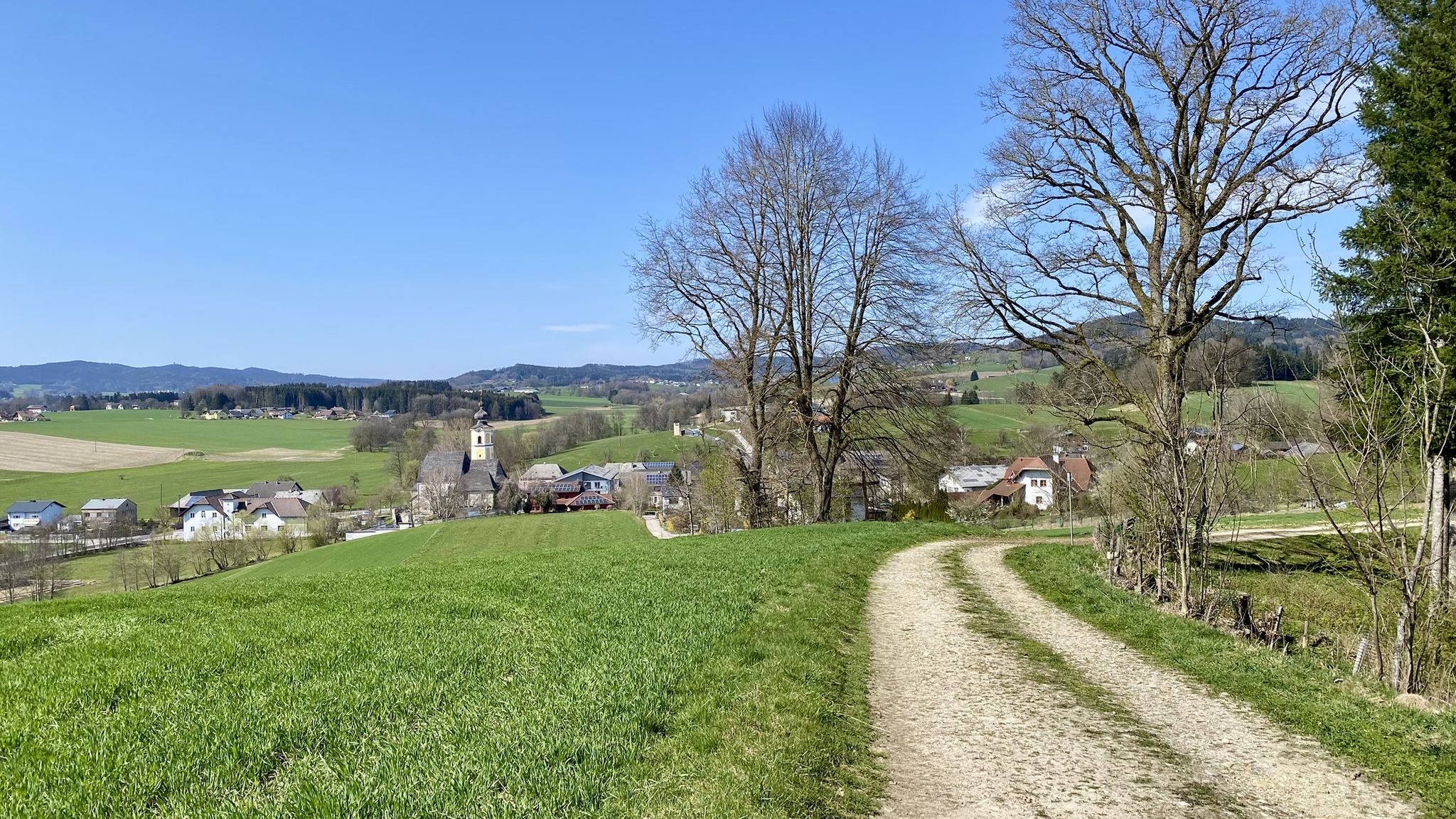 Ungenach