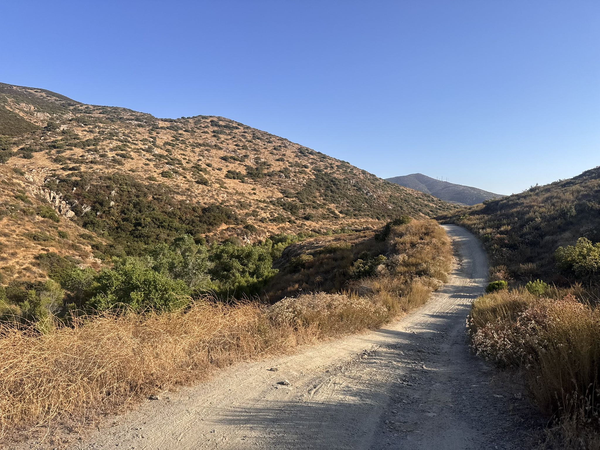 A winding dirt road through dry, brush-covered hills under a clear blue sky. - Otay Reservoir Dam – Upper Otay Reservoir loop from Rancho San Diego
