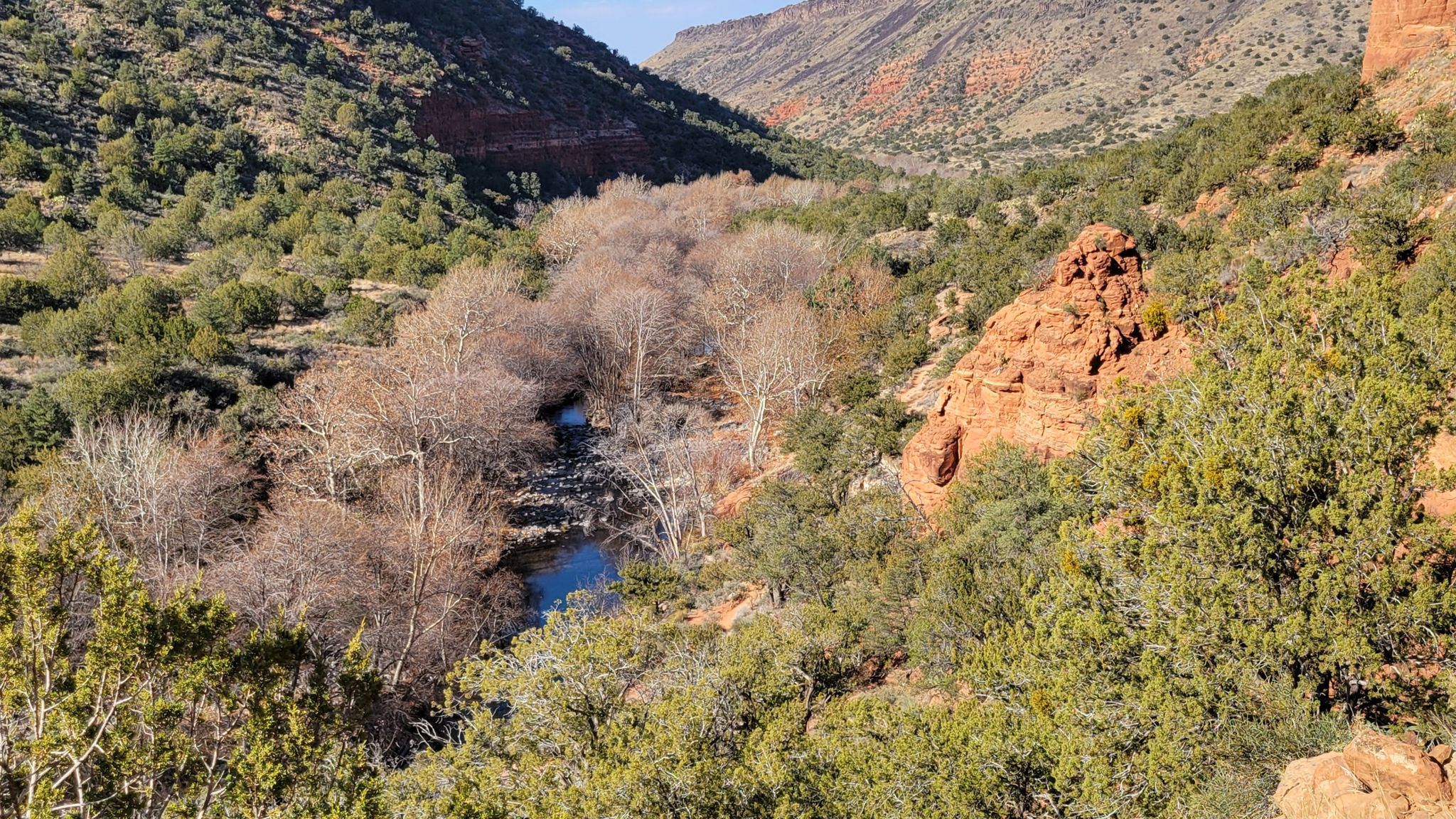 A winding river with bare trees and green shrubs in a sunny canyon. - Bell Trail