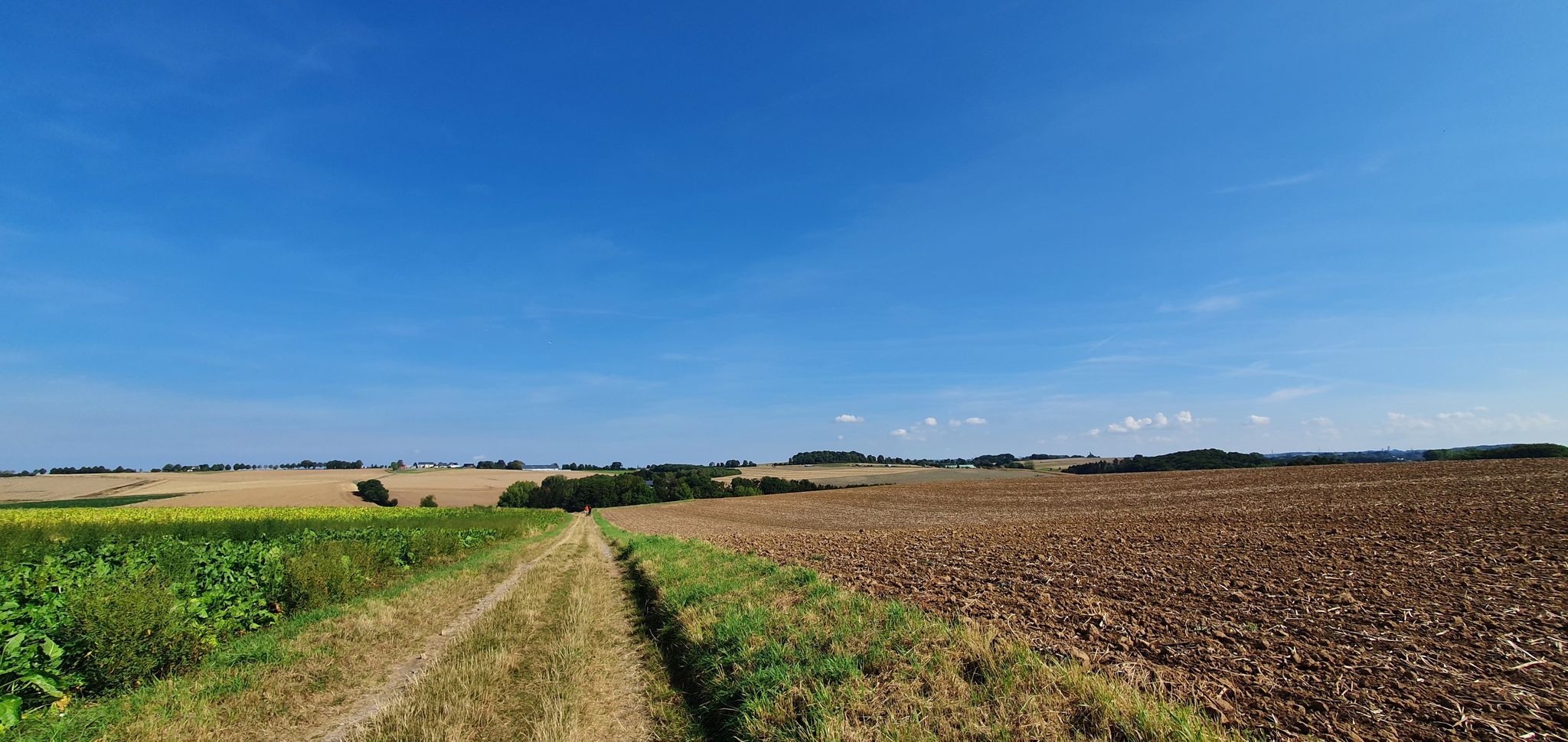 neue Wegstrecke