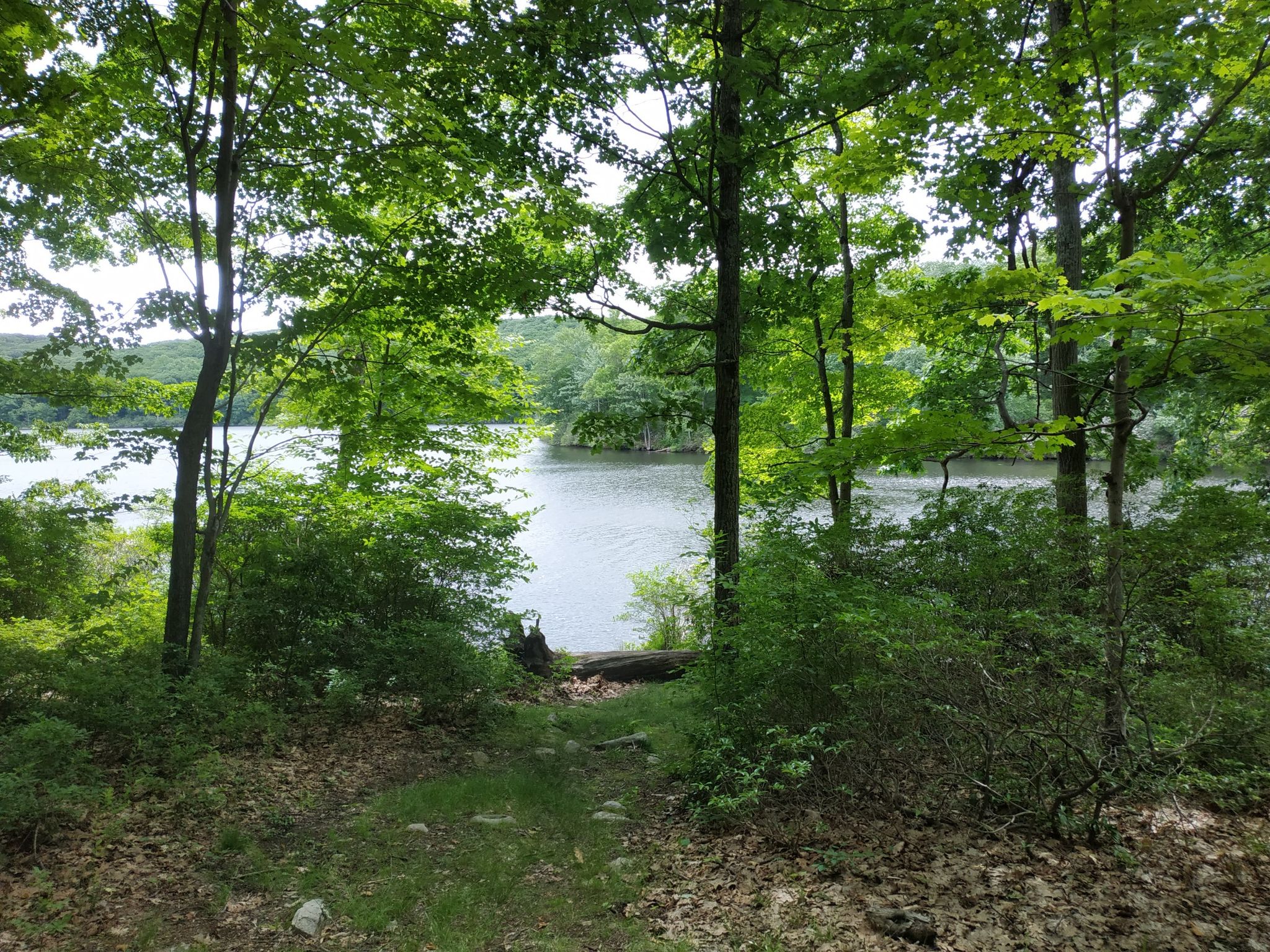 Forest path leading to a calm lake, framed by vibrant green trees. - Ramapo Dunderberg and Triangle Trail Loop
