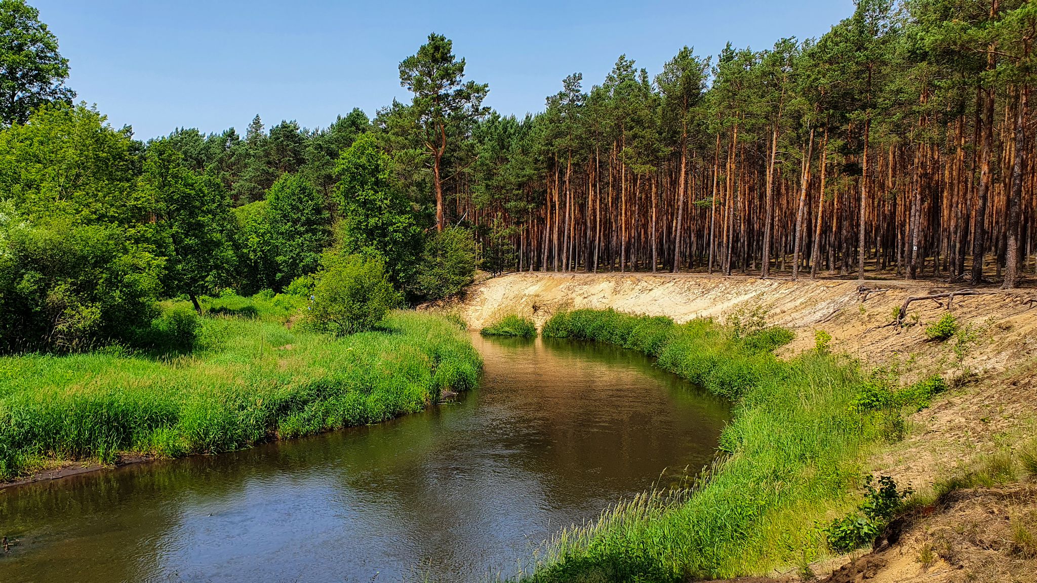 Skarpa nad rzeką Czarna