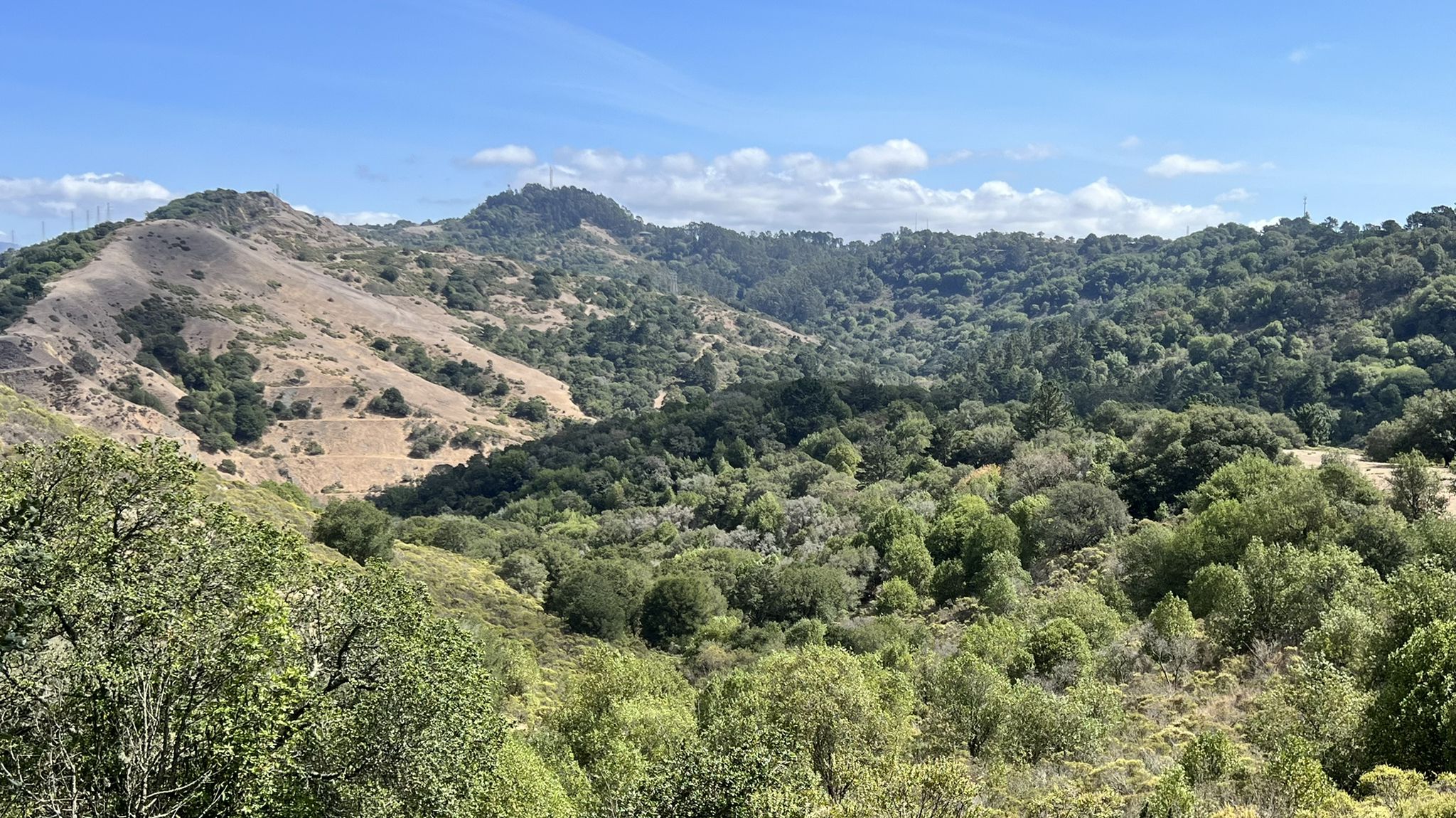 Expansive view of green, tree-covered hills and valleys under a bright blue sky. - Grizzly Peak Loop