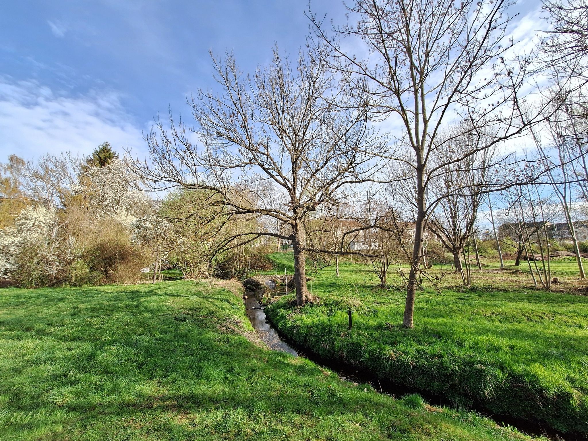 am Bachweg