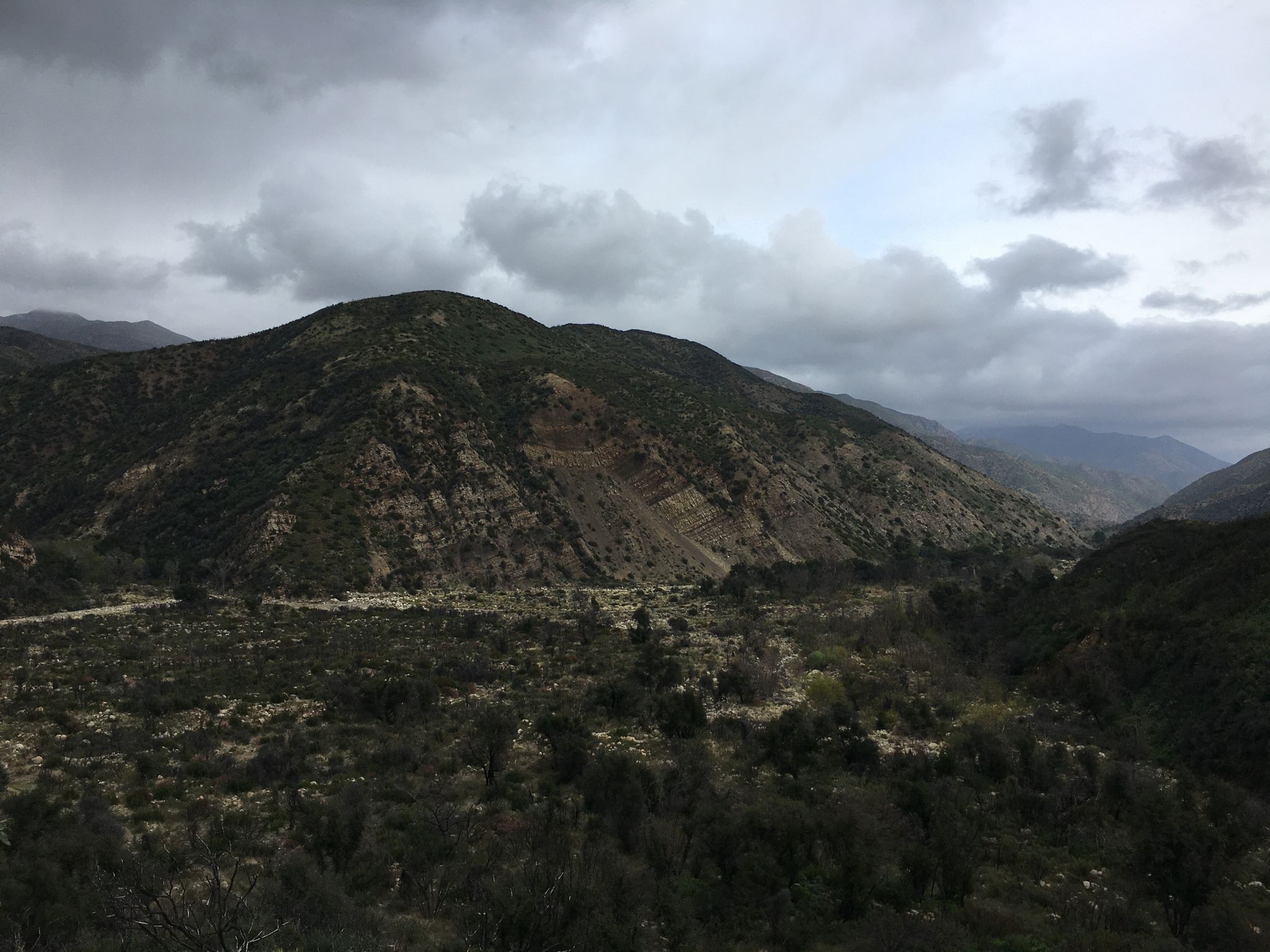 Overcast view of rugged mountains and a wide valley with sparse trees. - Murietta Trail and Matilija Divide Trail Loop