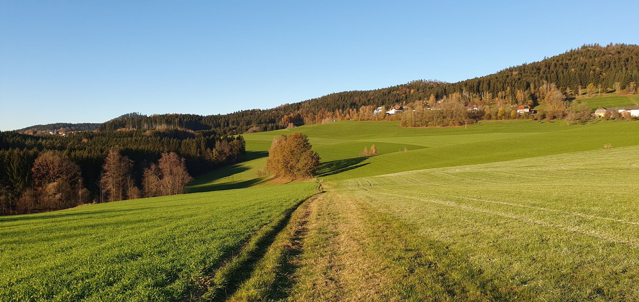 Wiesenweg