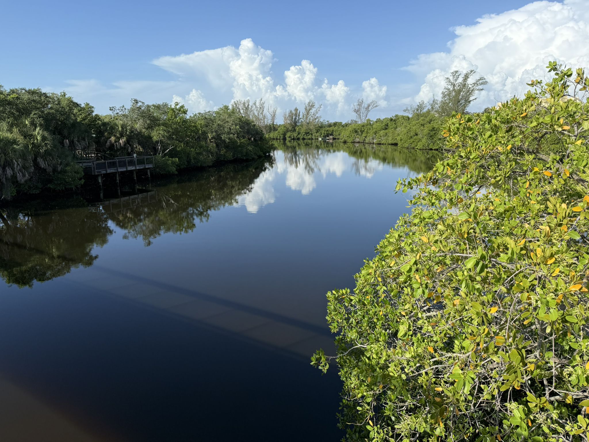 Calm water reflects a bright blue sky and lush green trees. - Gordon River Greenway