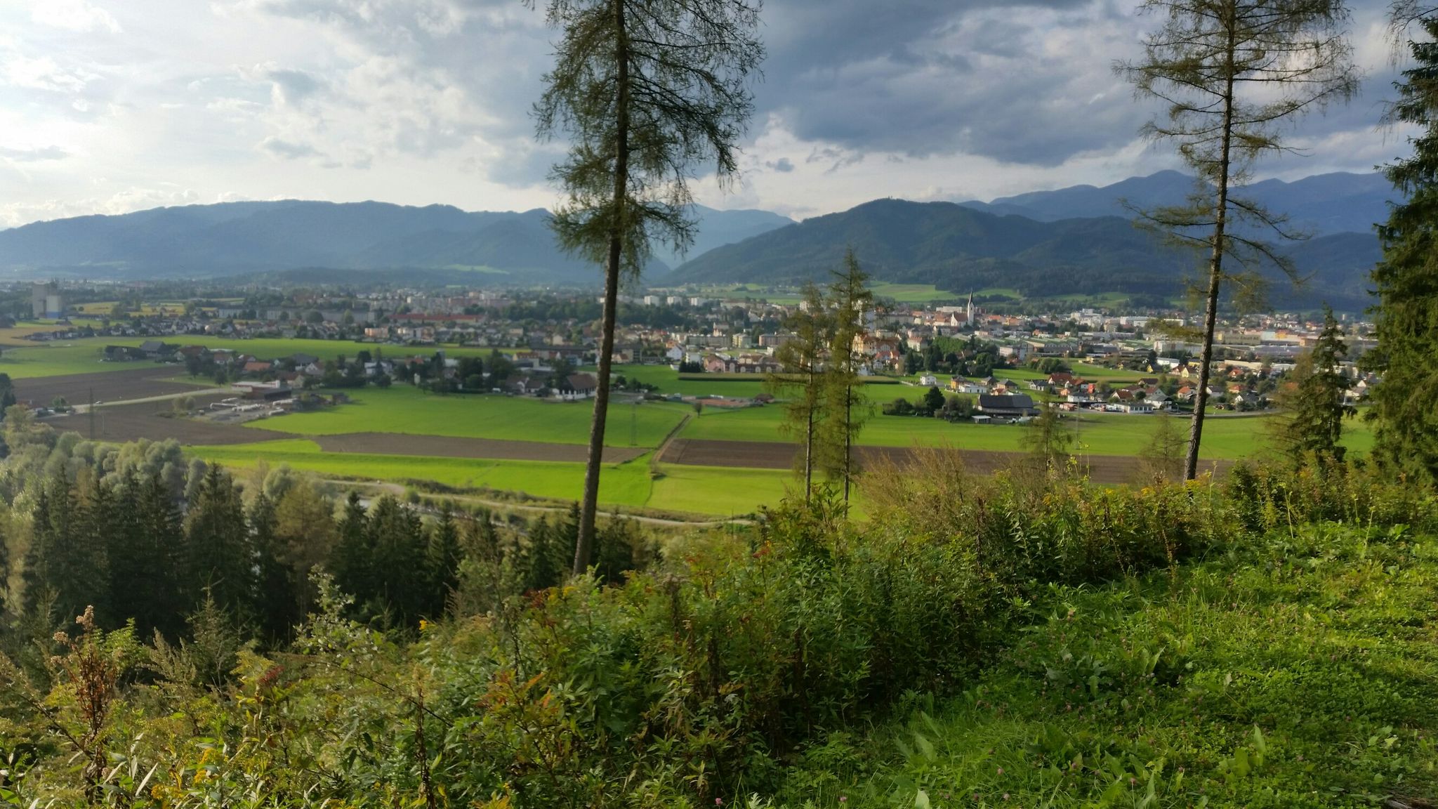Knittelfeld