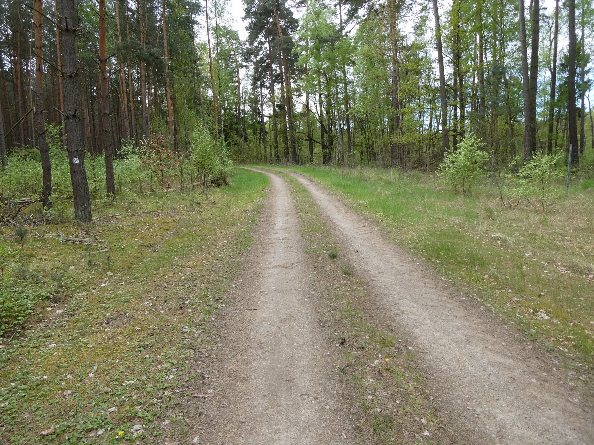 Auf dem Märkischen Landweg