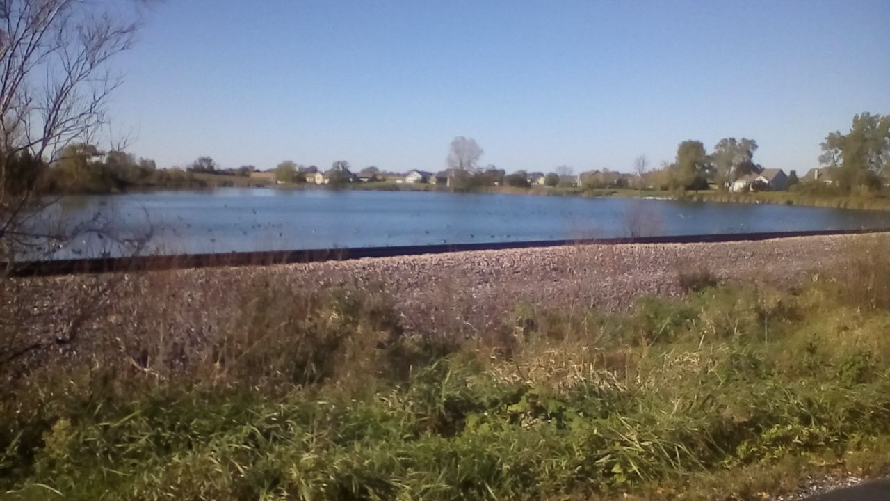 A calm lake with grassy banks and distant houses under a clear blue sky. - From Port Washington to Sheboygan - LMCT (Lake Michigan Circle Tour)