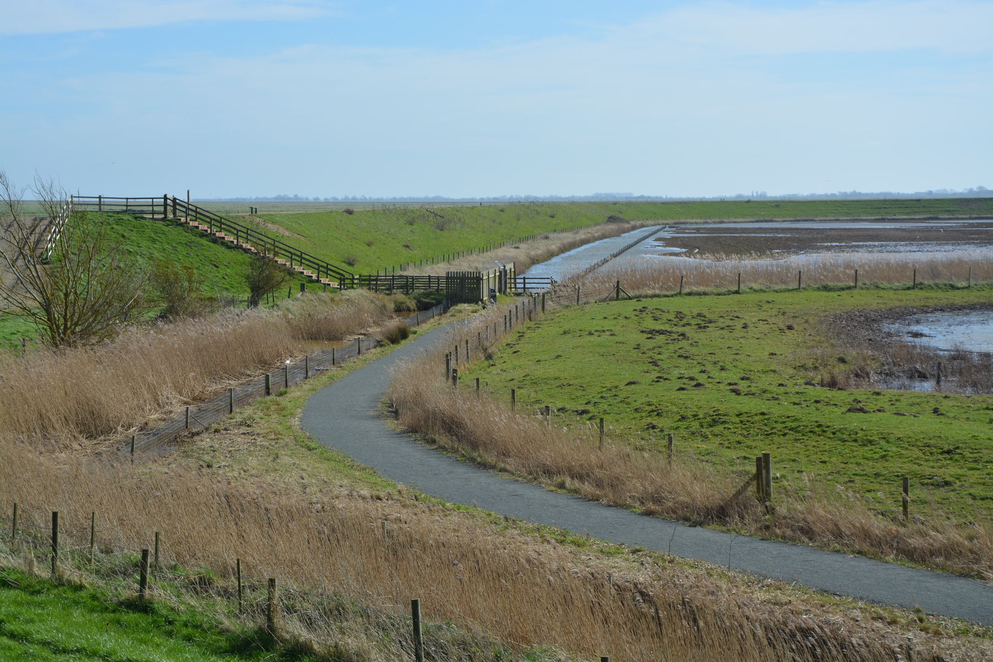 Sea bank at the edge of the reserve