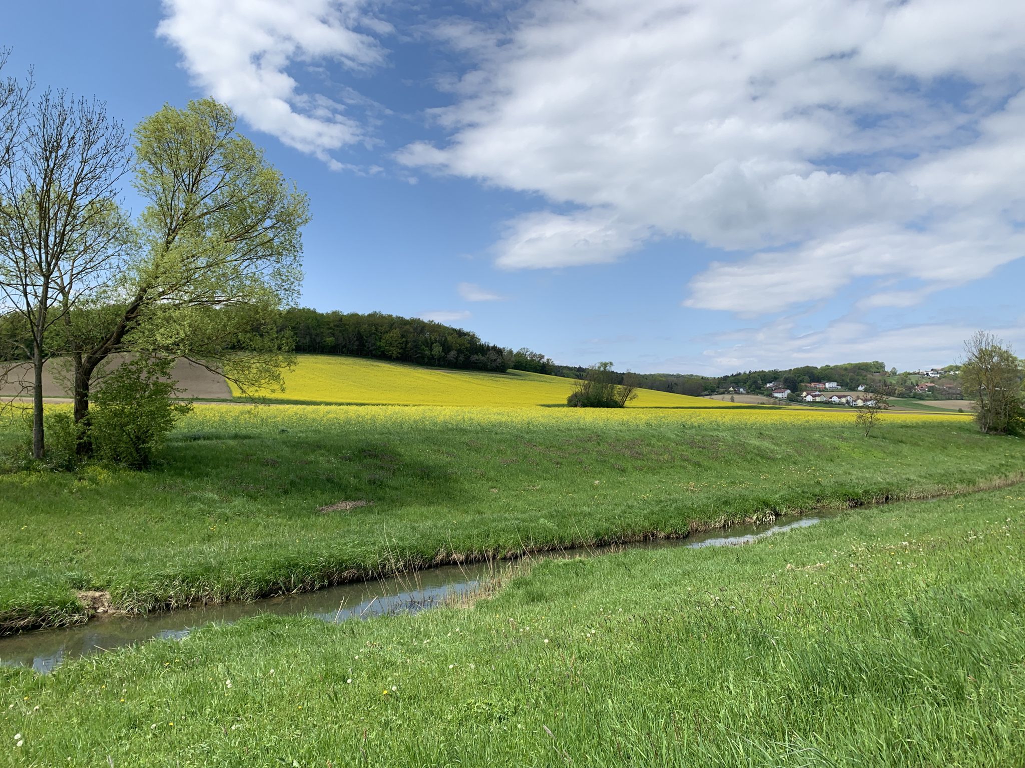Blick über die Strem