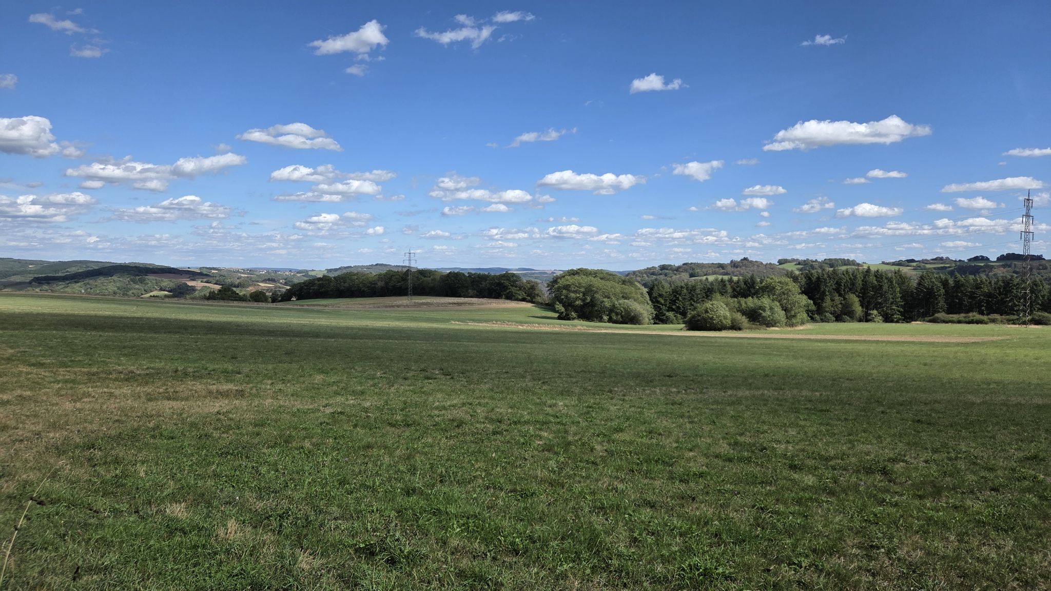 Weiter auf dem Wiesentrail