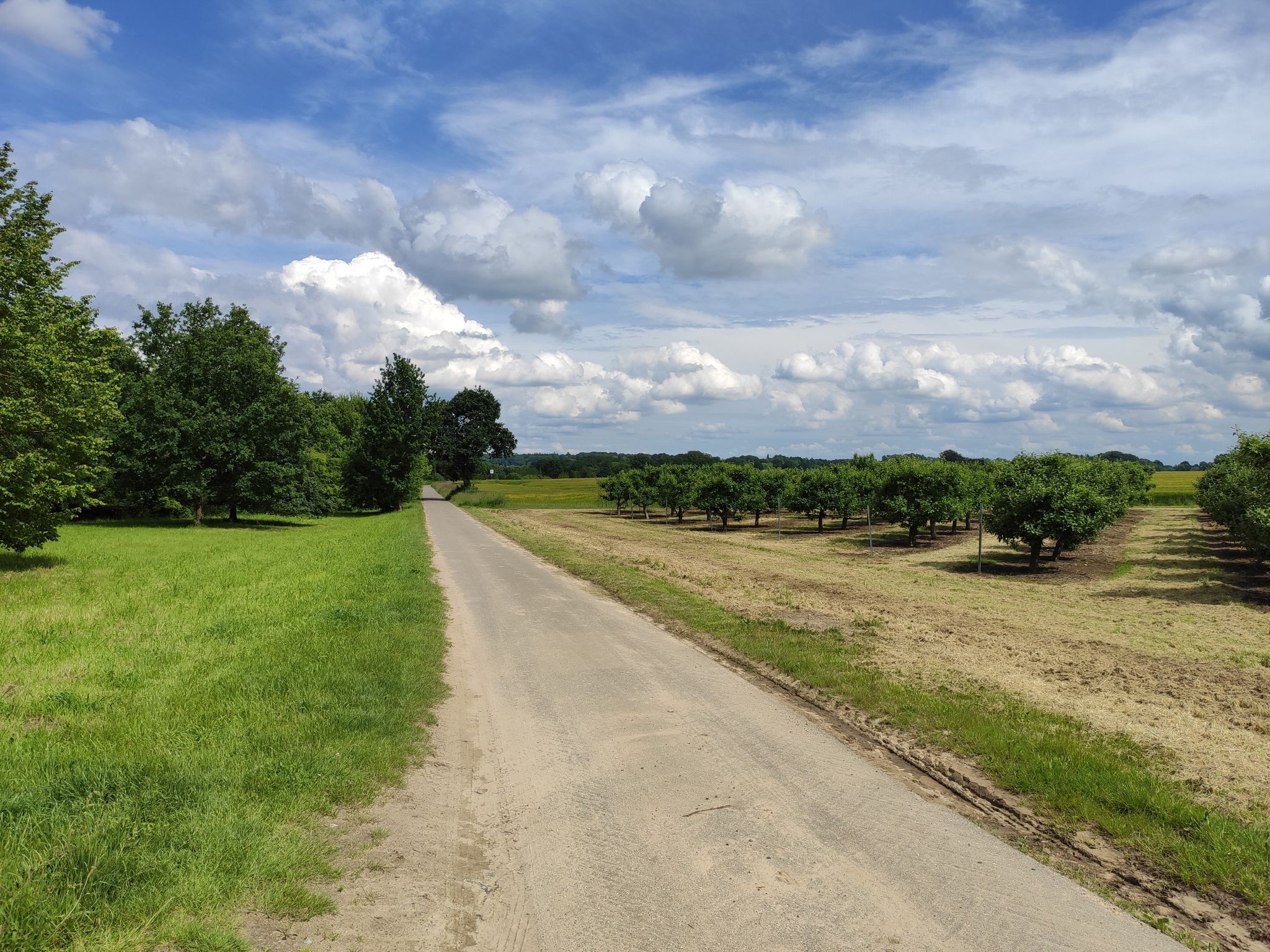 Kurzer Rückblick hinter Beckedorf. Wenig Verkehr auf diesem Weg