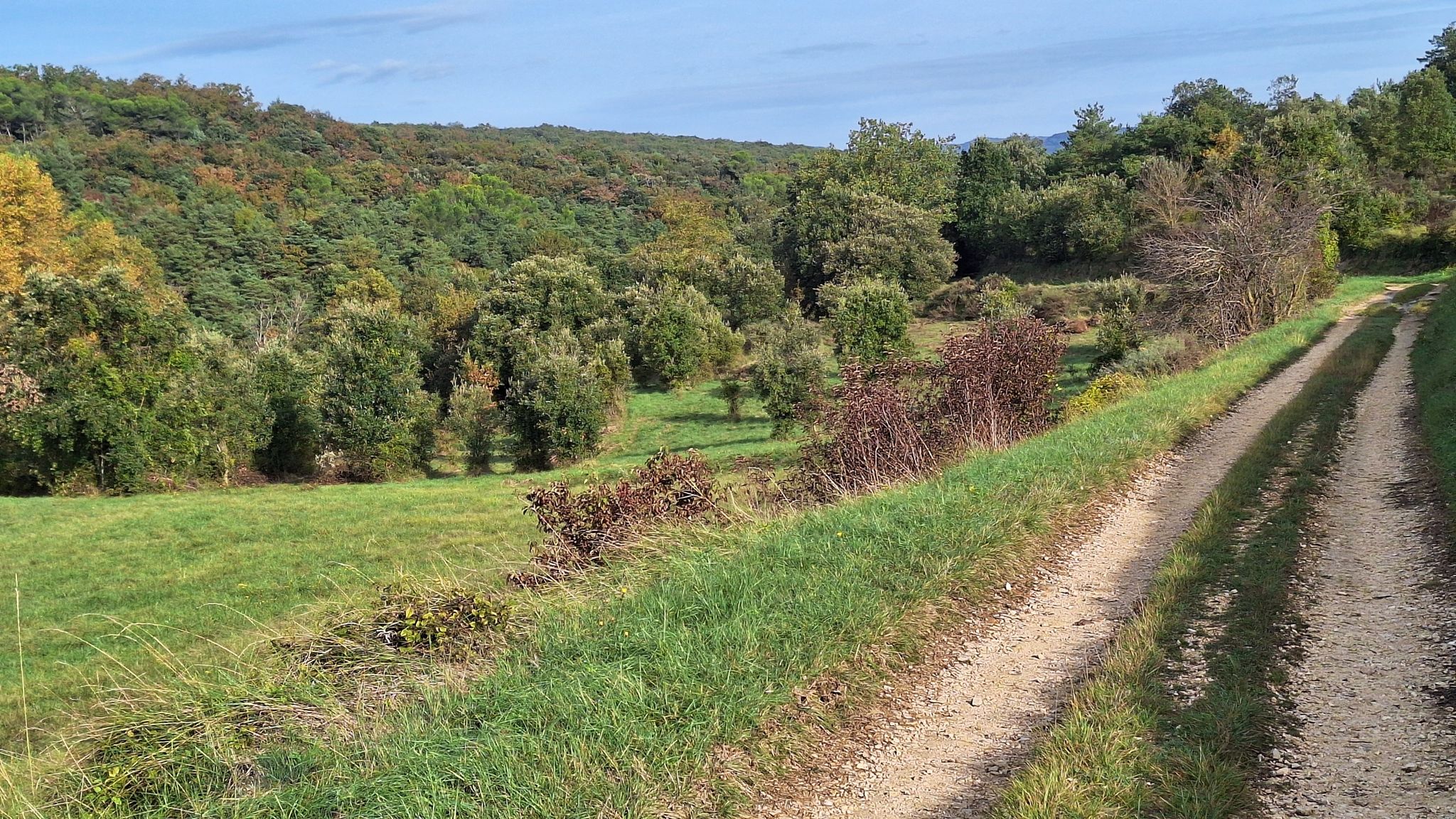 Chemin de Grange Roux.
