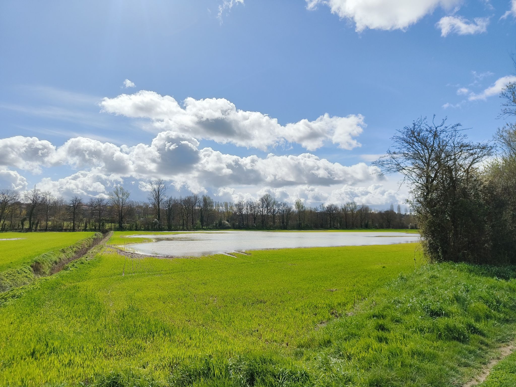 Ceci n'est pas un lac