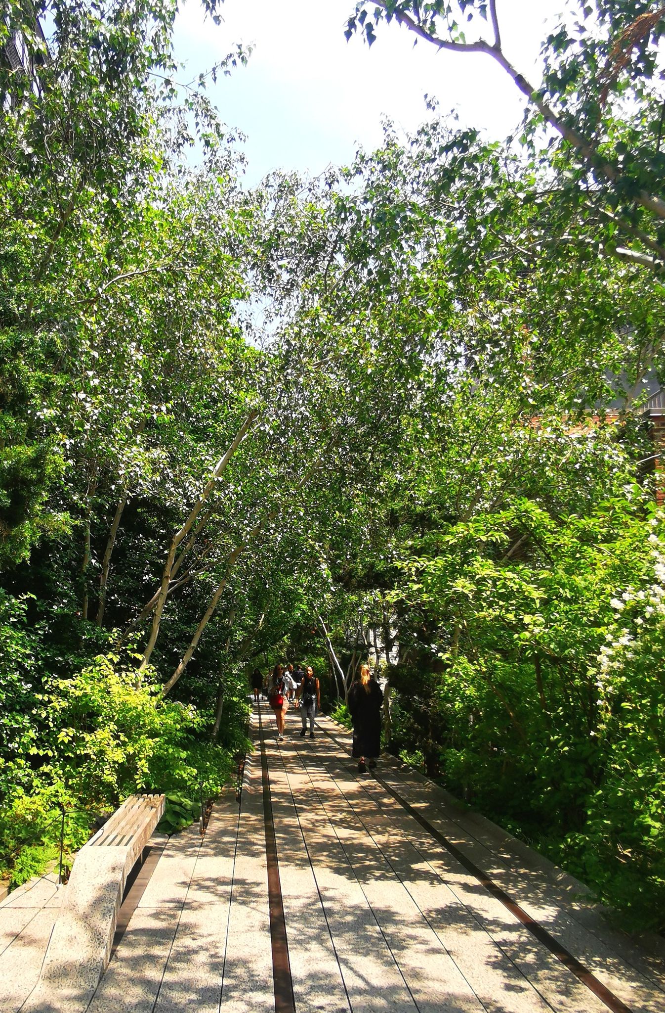 Shaded elevated pathway surrounded by lush green trees with people walking. - The High Line – The High Line loop from New York University