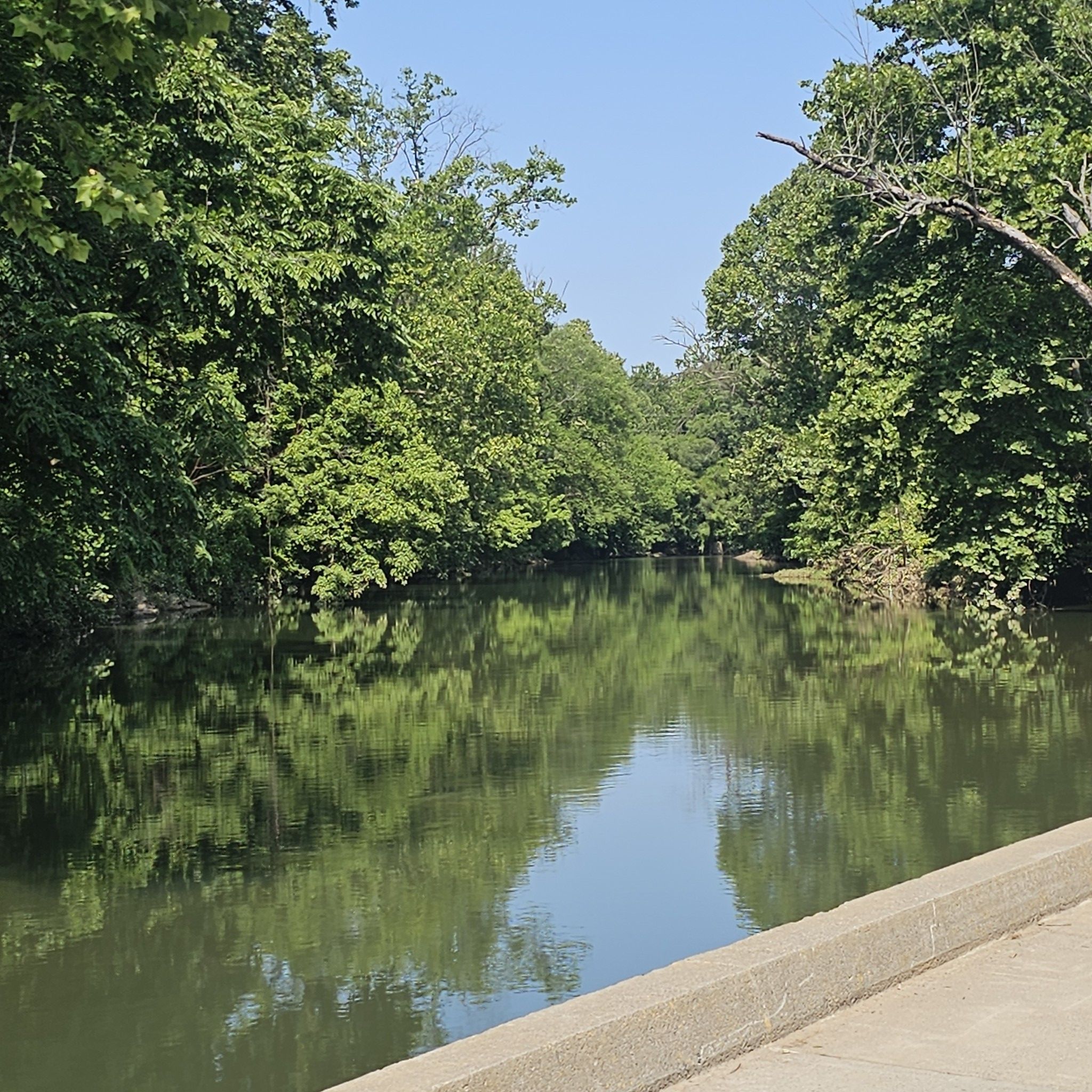 Calm river reflecting dense green trees under a clear blue sky. - Roanoke River Greenway – Wasena Park loop from Riverdale