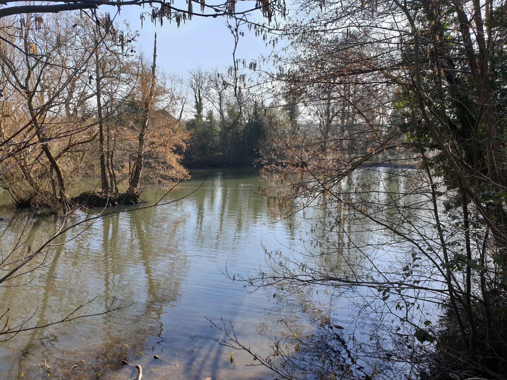 lower pool