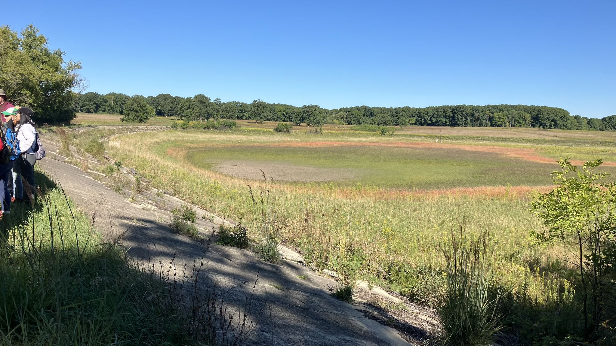 People on a path overlooking a large, dry, grassy field under blue sky. - Carl R. Hanson Woods – Shoe Factory Road Woods loop from Carl R. Hanson Woods