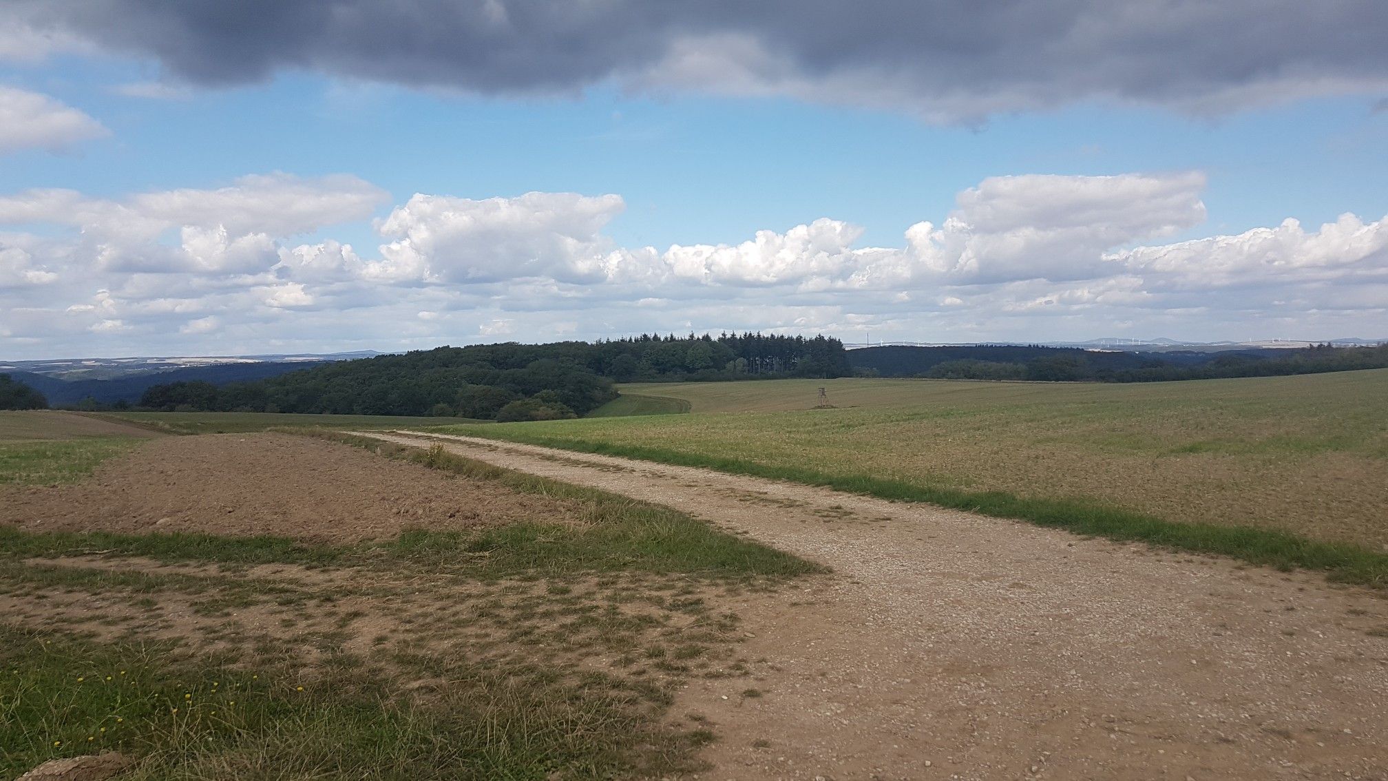 Eifelblick